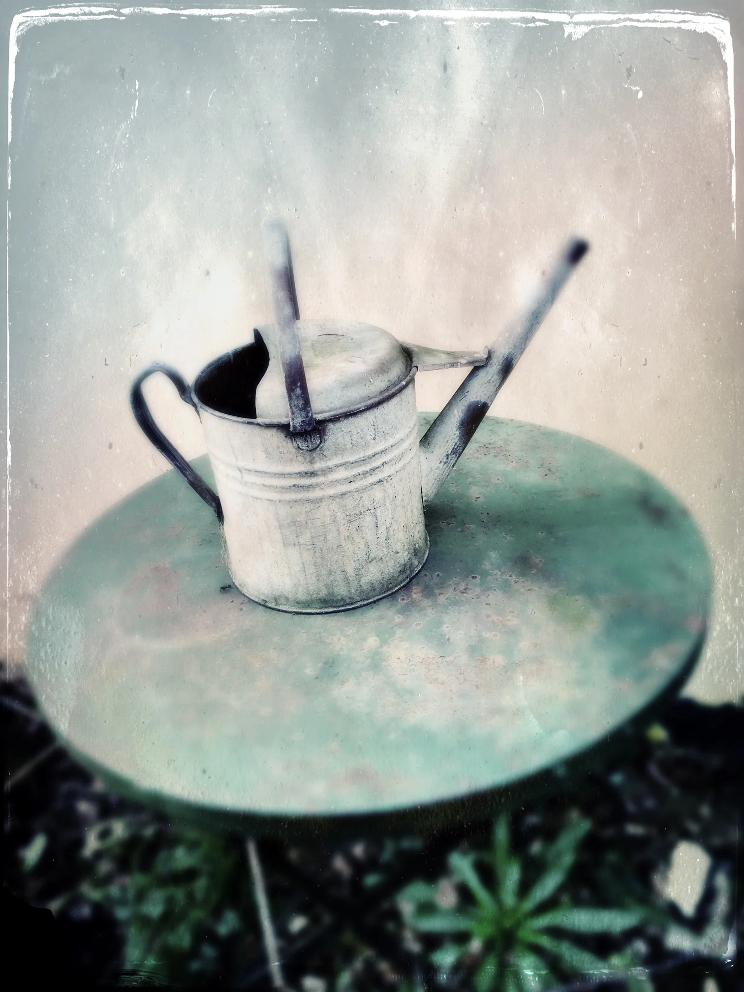 WATERING CANS FROM £45