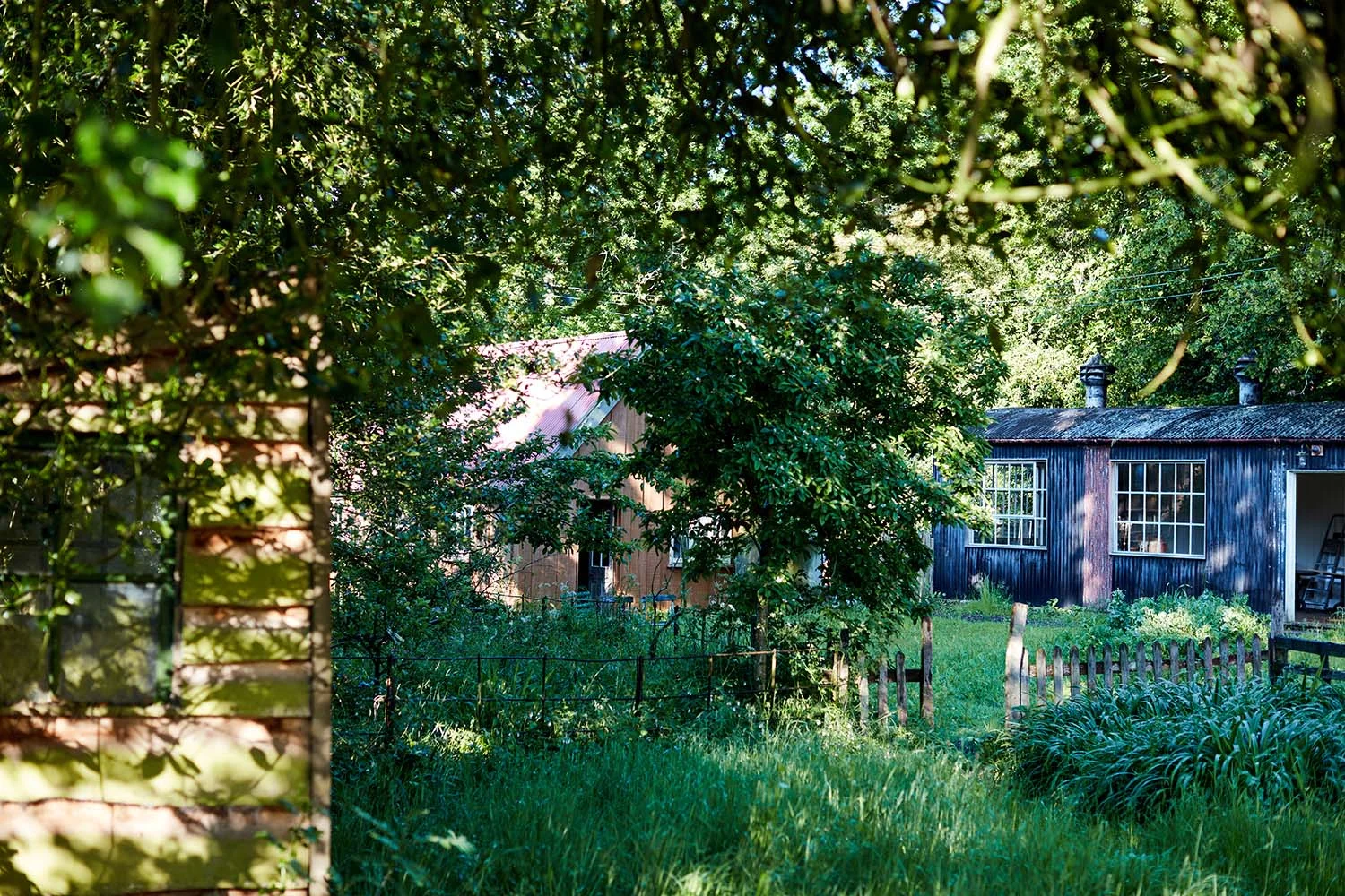 0G1A0656.jpg