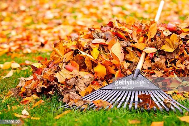 Church Garden Clean Up 清除雜草和整理花圃