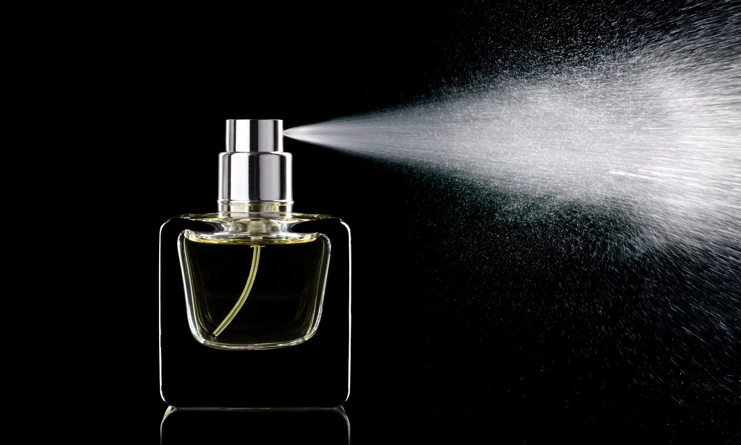 fragrancebanner.jpg