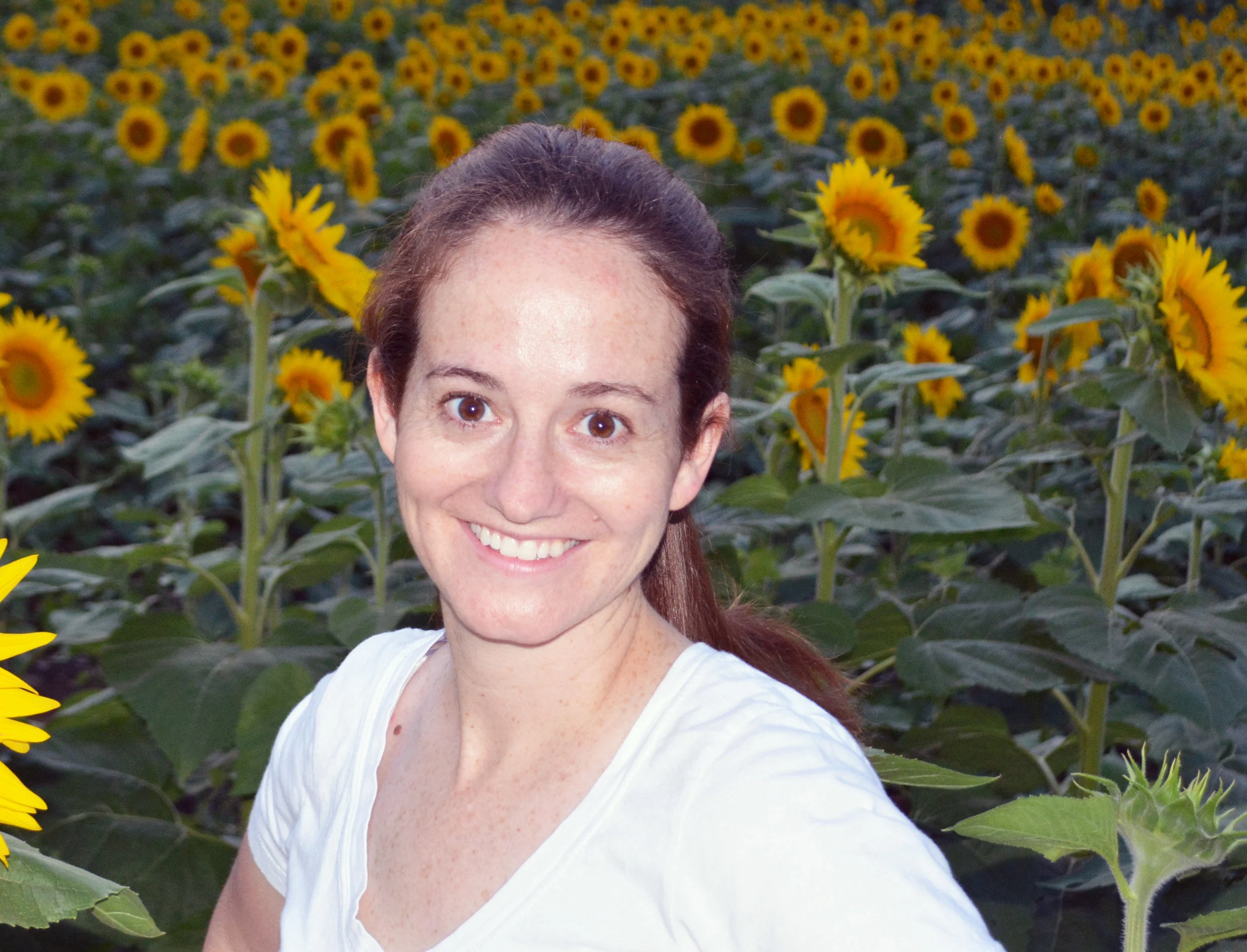 Meet My #WriteMentor Mentee Part 3: Katie Bono
