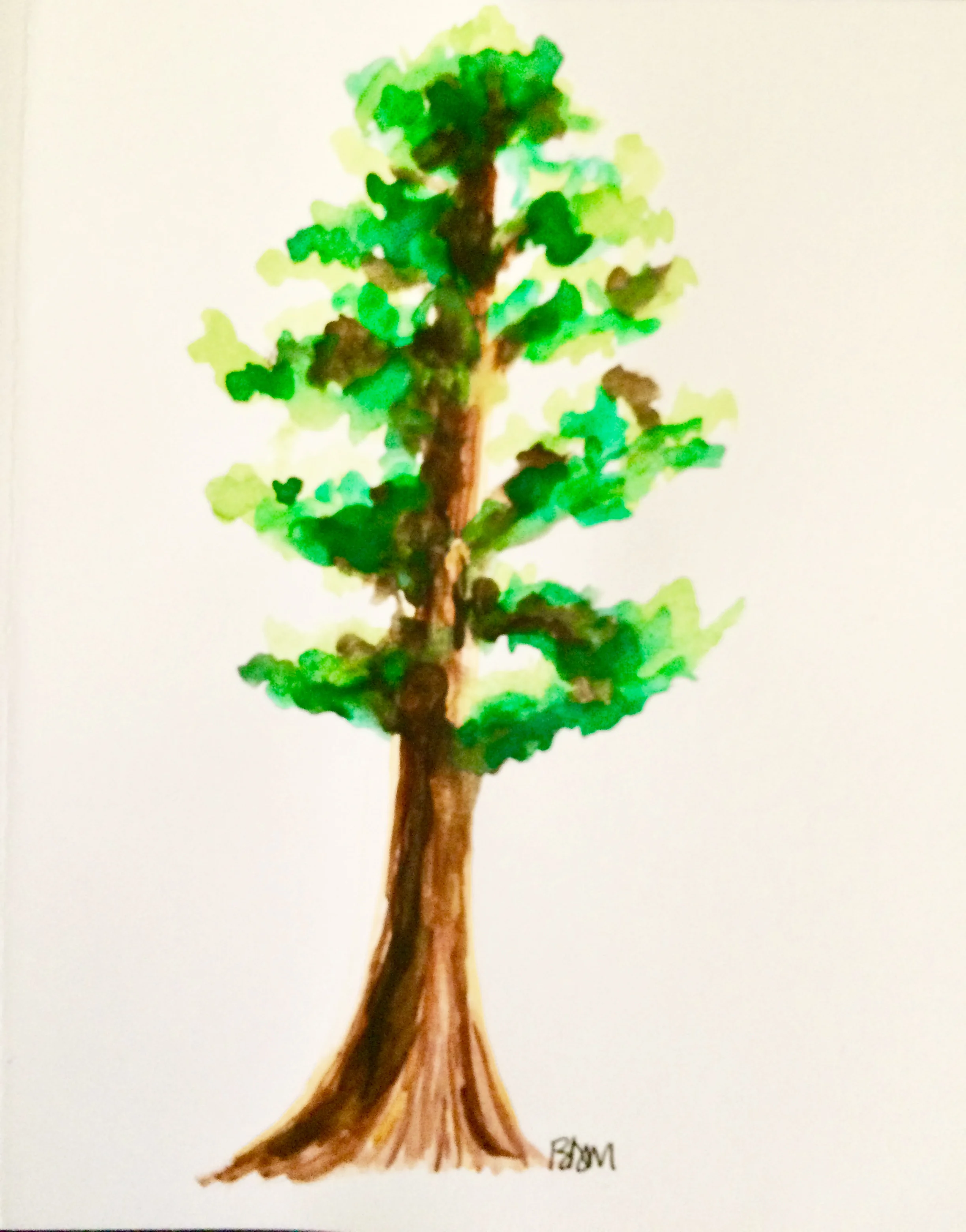 OutOfFocusTree.jpg