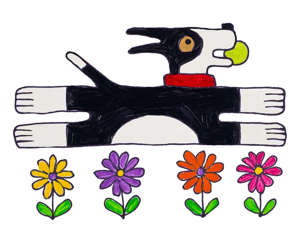 Mojo Daisies Card 8 Pack