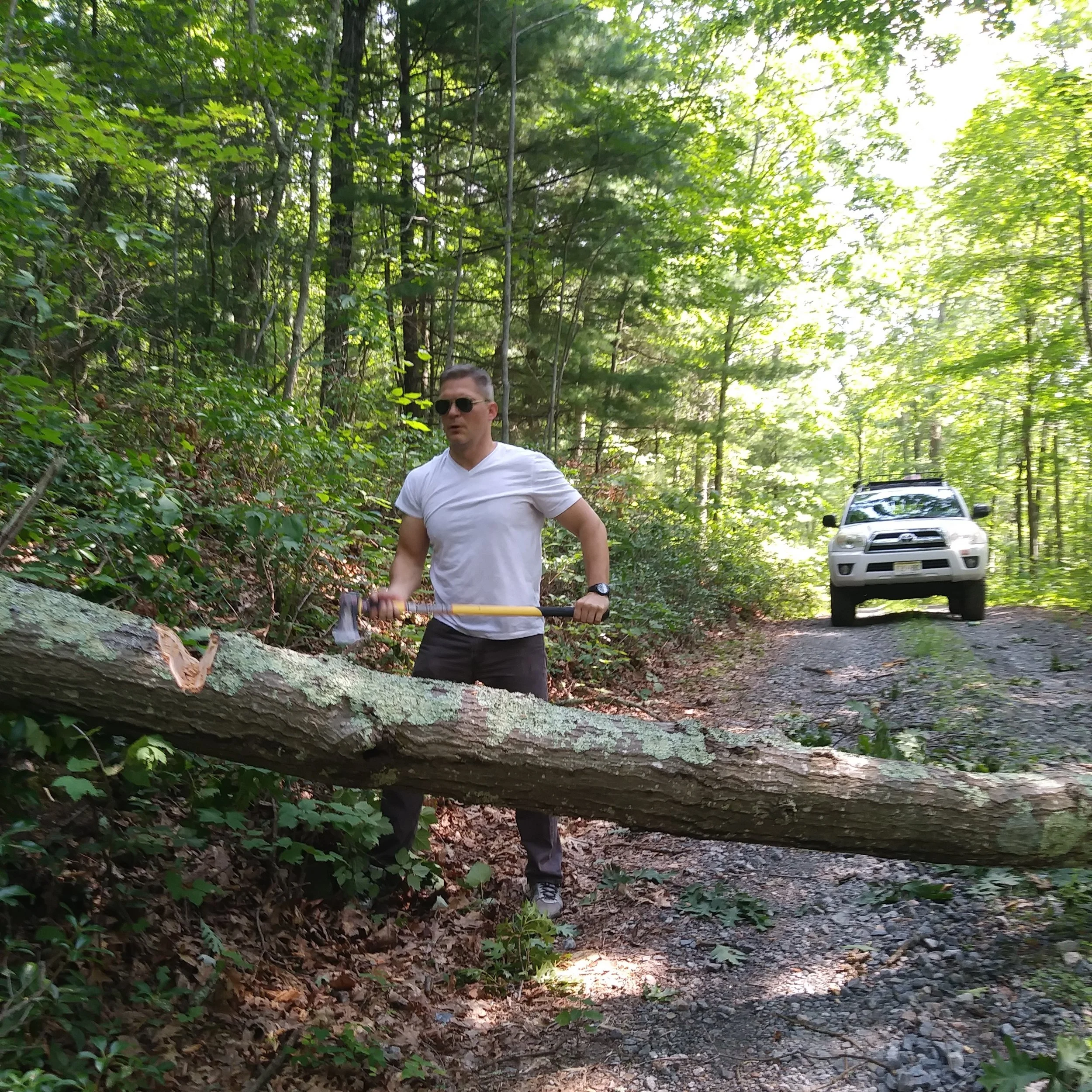 RealTreeTrubble.jpg