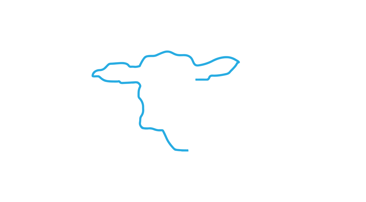 VitalixLogo-White-Web.png