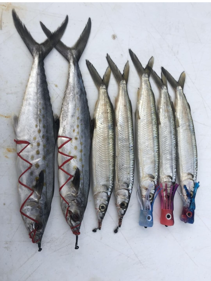 ringer swivels for mackerel baits