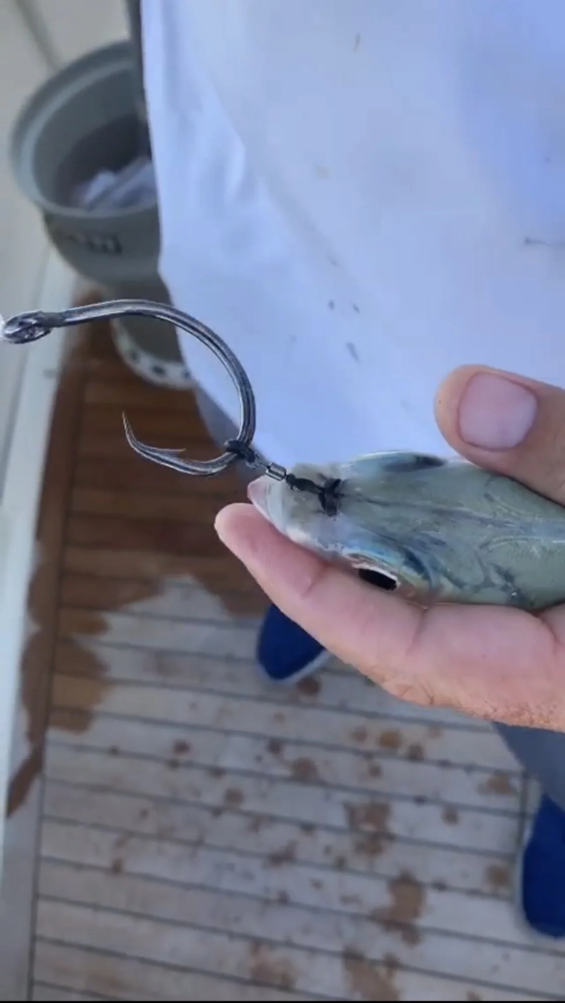 swivel bait
