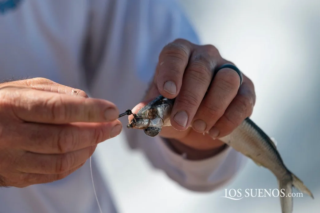 140912854_2953443358218840_4794584208912159612_n 2.JPG