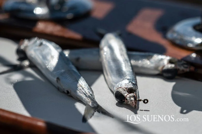 140645687_2953443314885511_137097019946933627_n 2.JPG