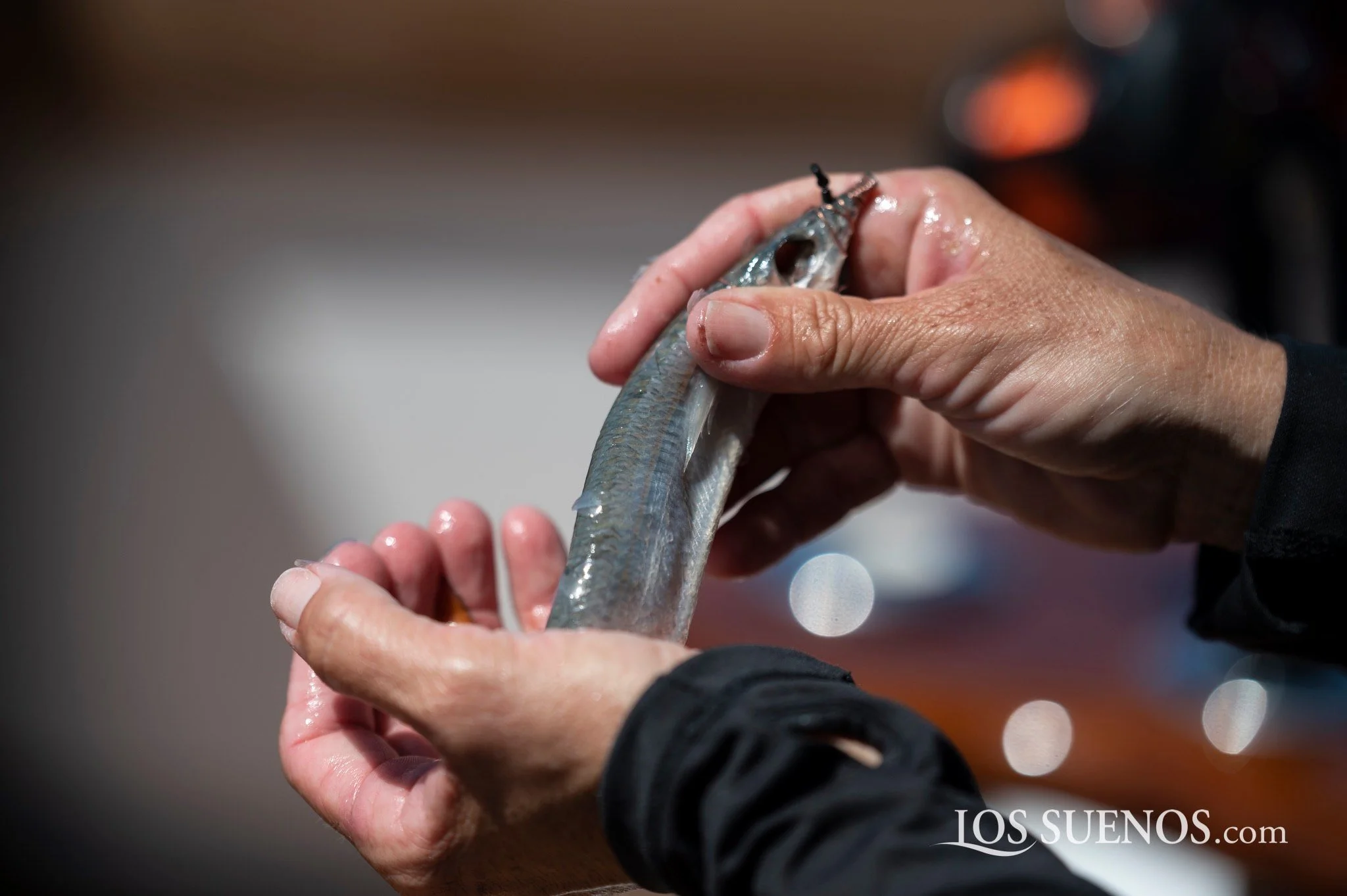 141078526_2956626651233844_2079809554973756842_n 2.JPG