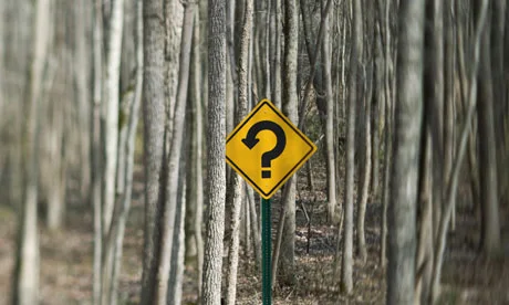 question-mark-in-a-forest-006.jpg