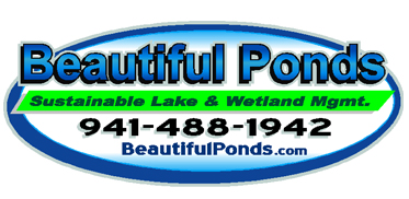beautiful-ponds.jpg