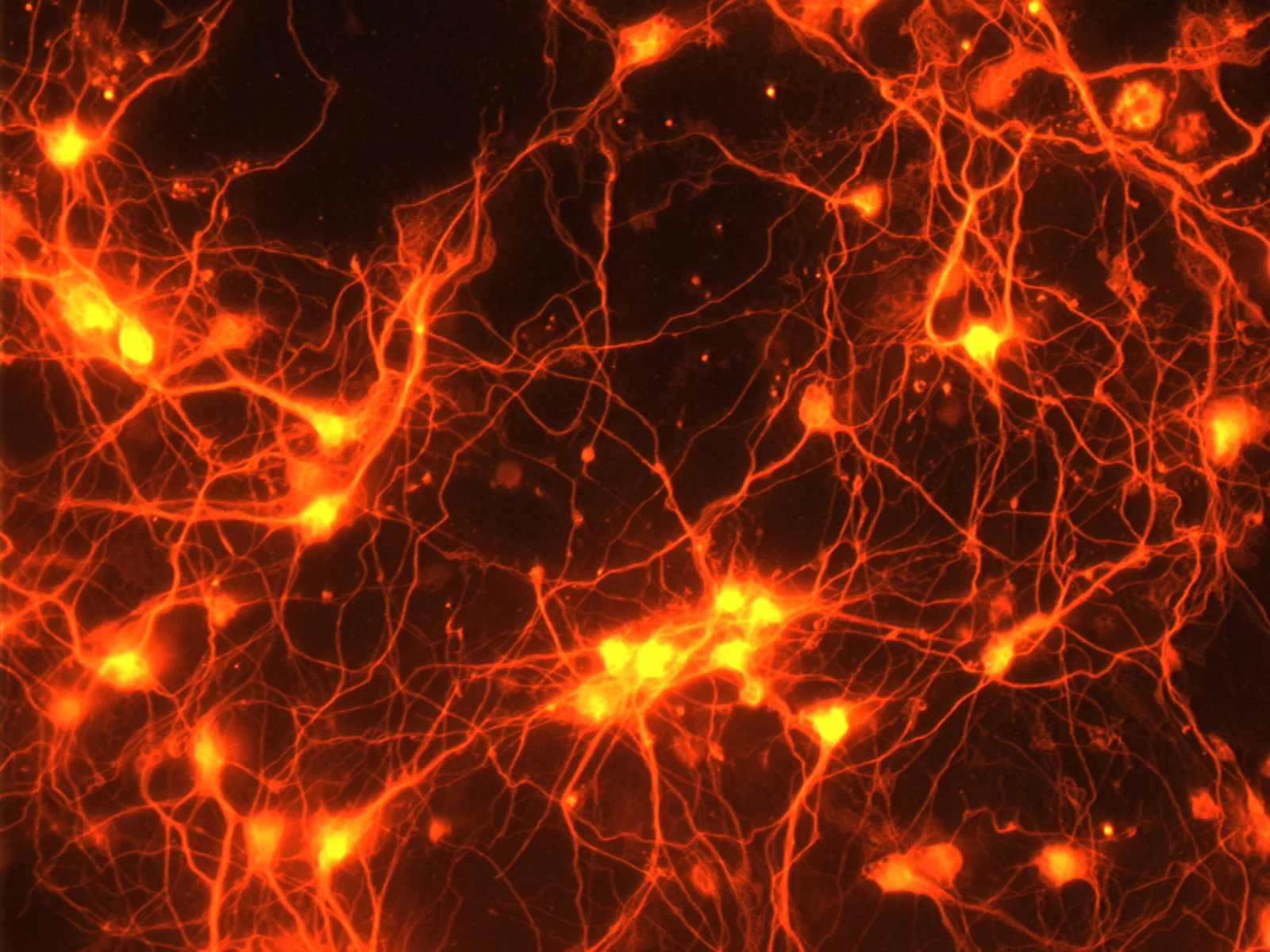 22798807131_1af589a8e6_o.jpg