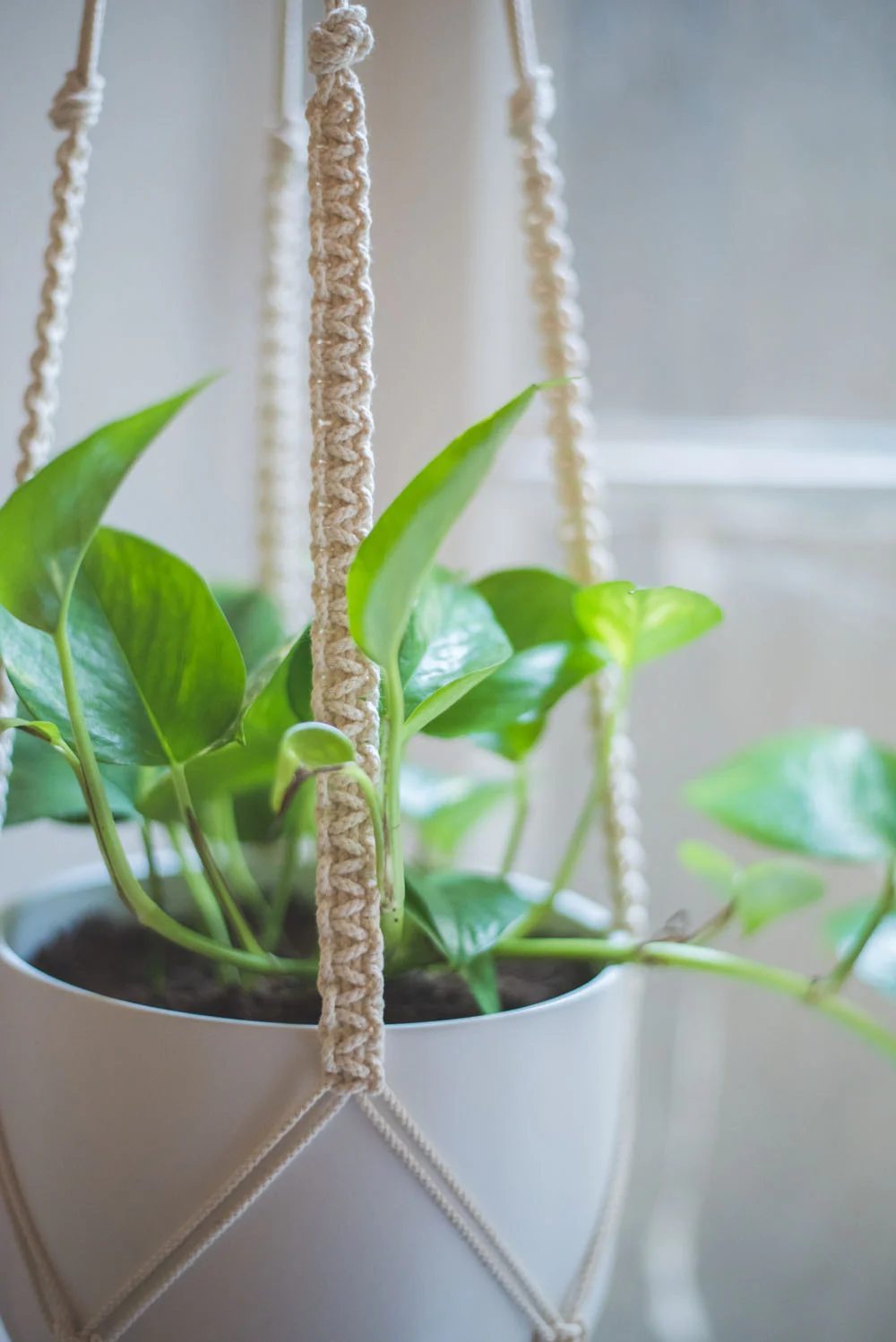 macrame-plant-hanger-7-of-7.jpg