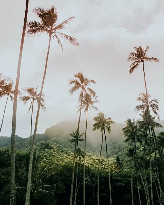 Savoring the weekends a little more these days. Working from home &amp; staying SO busy with all of your orders that keep us busy in the best way! 📦🥰 Just so, so grateful for all of your support. Thank you doesn&rsquo;t even come close ❤️ Were welc