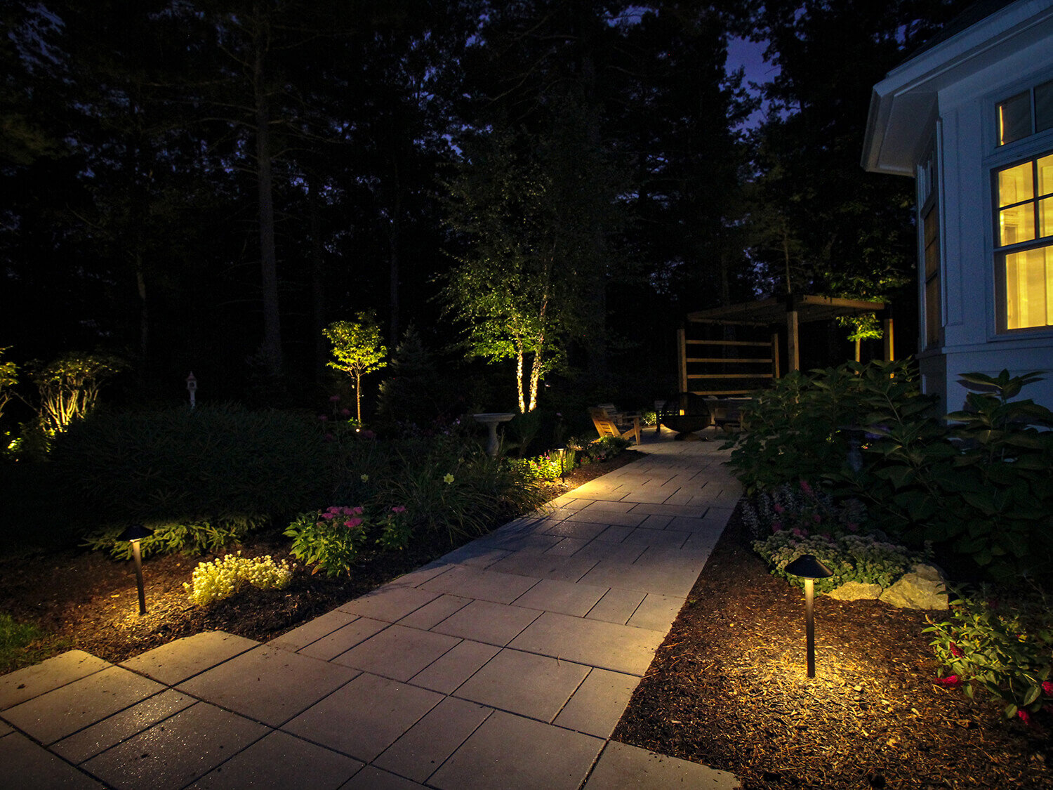 Backyard Light with Landscape Lighting