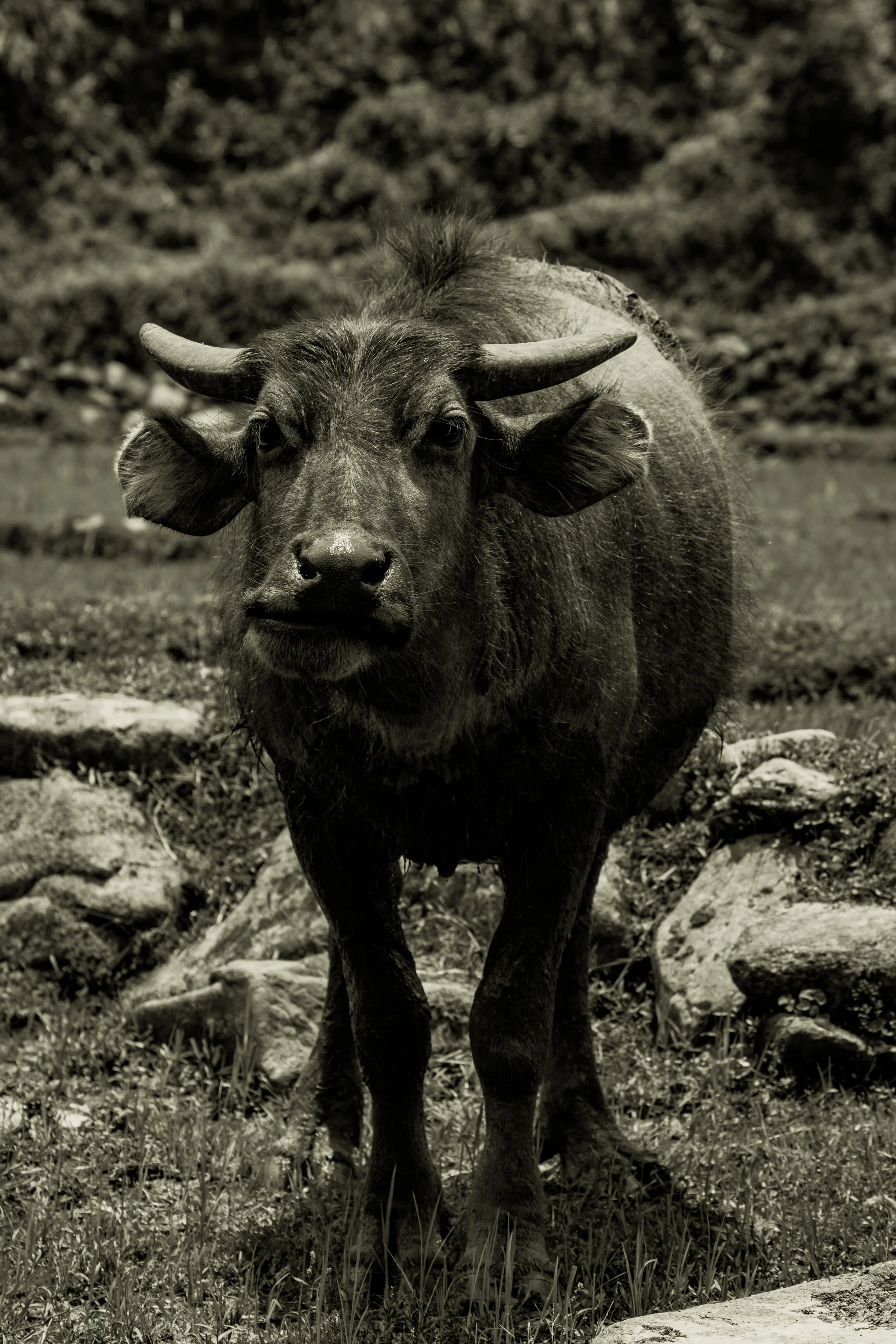 DSCF3335.jpg