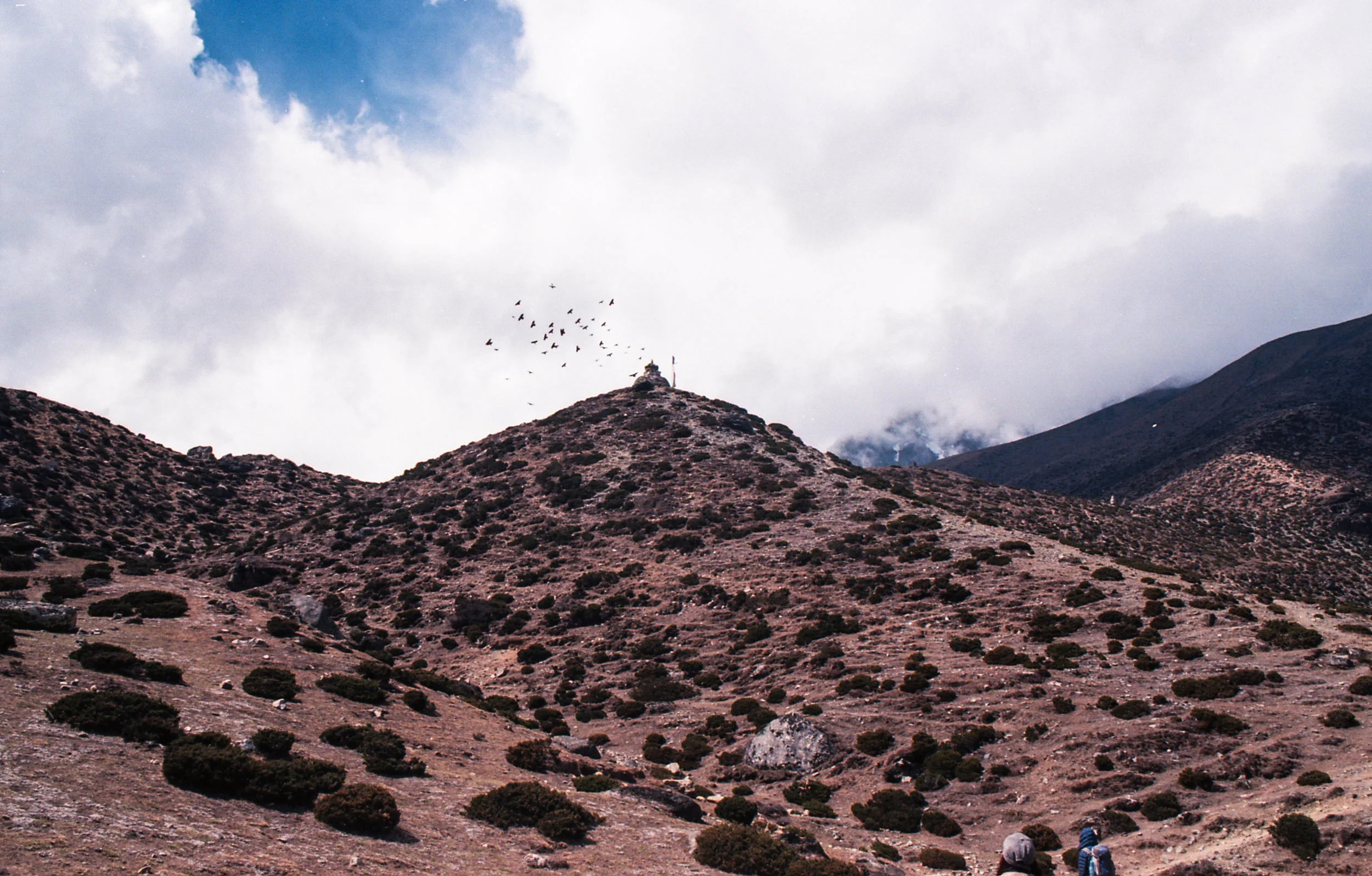 EBC_ektar100_356.jpg
