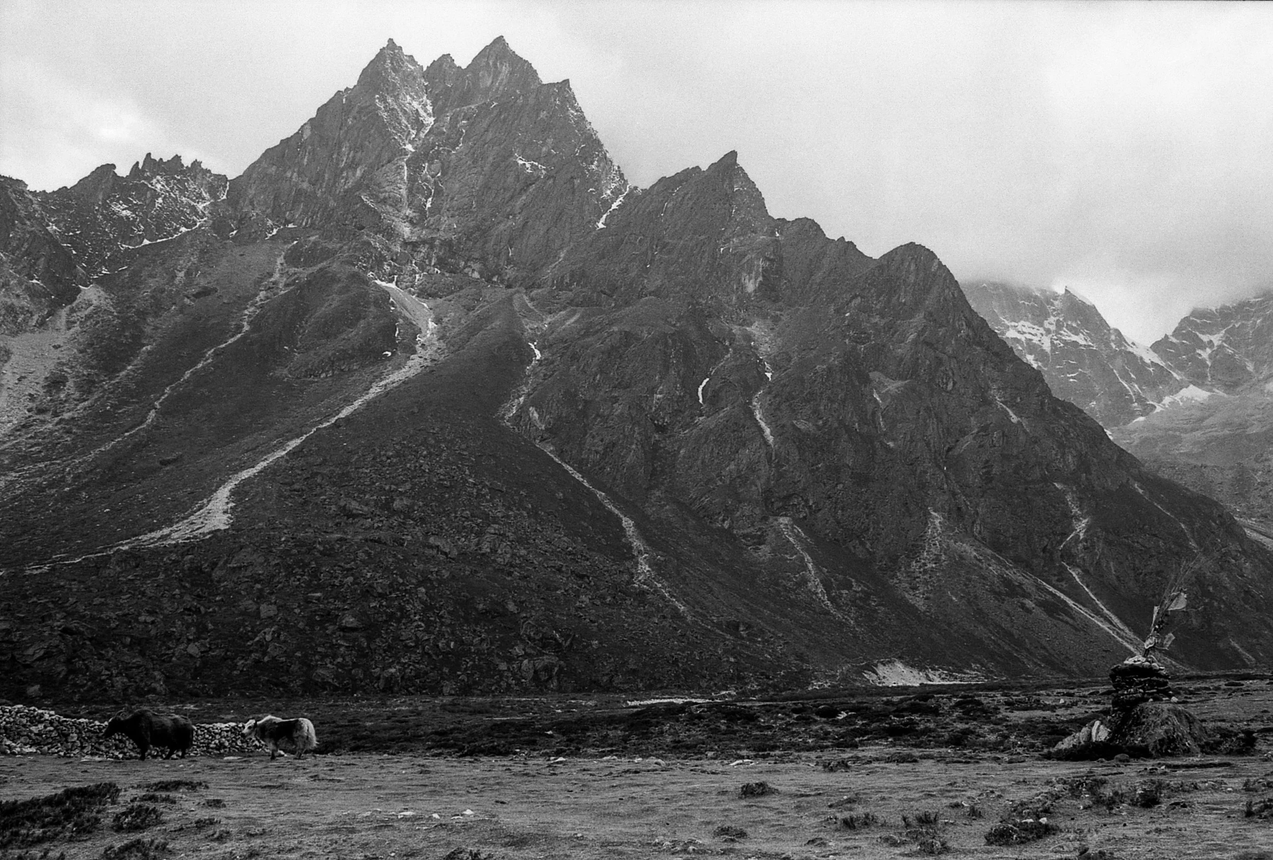EBC_hp5_495.jpg