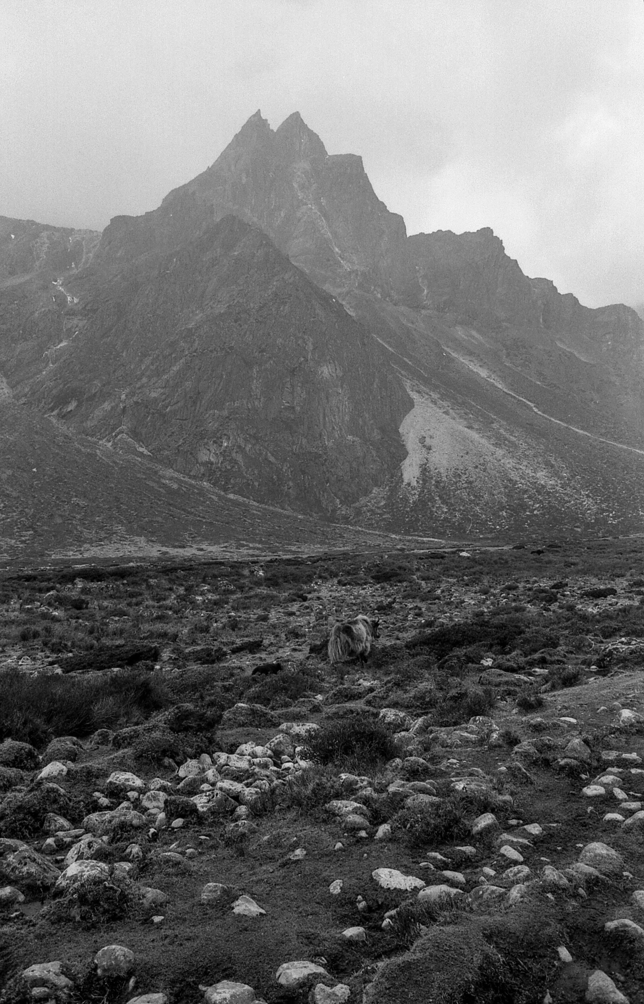 EBC_hp5_498.jpg