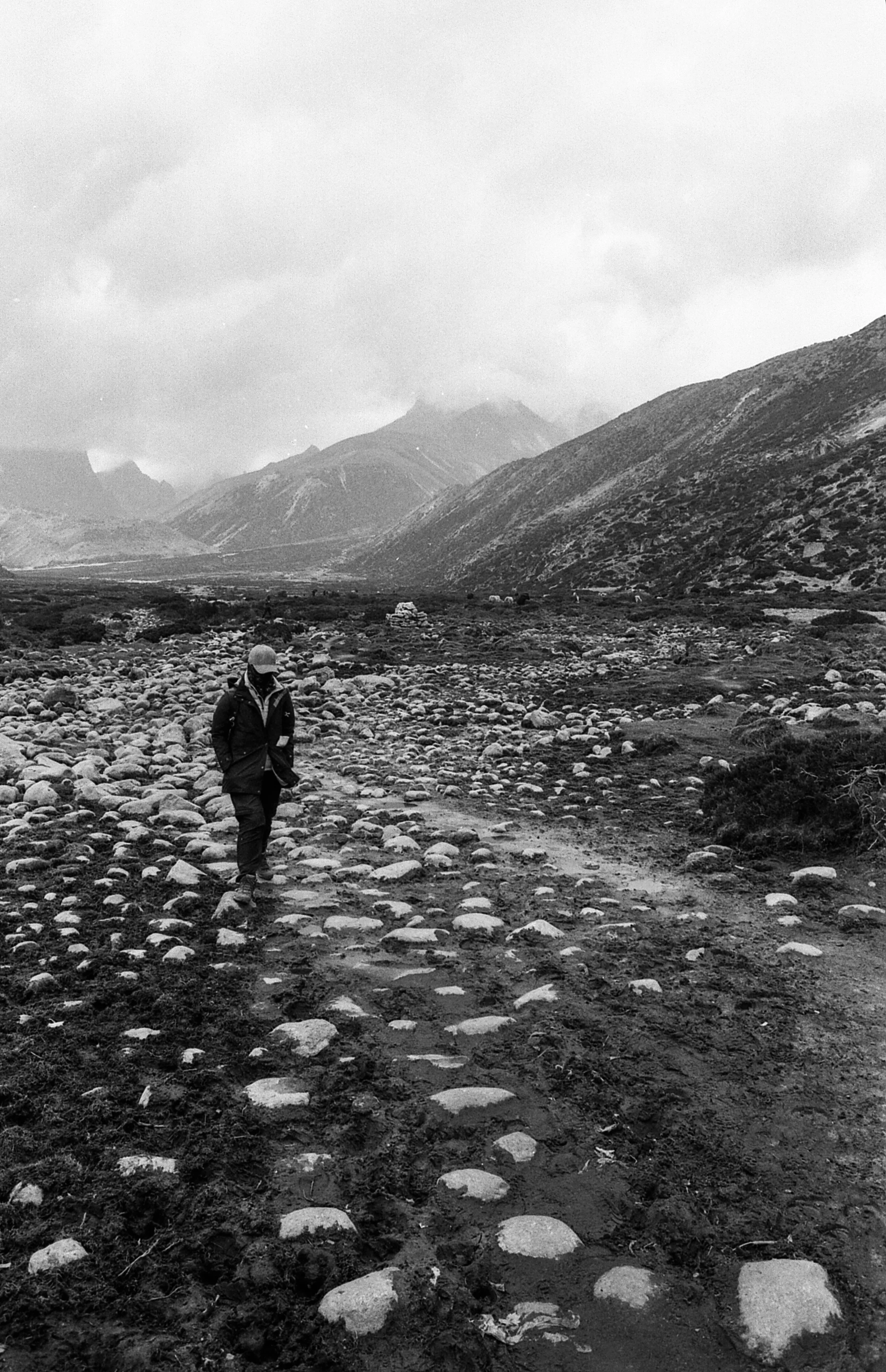 EBC_hp5_499.jpg