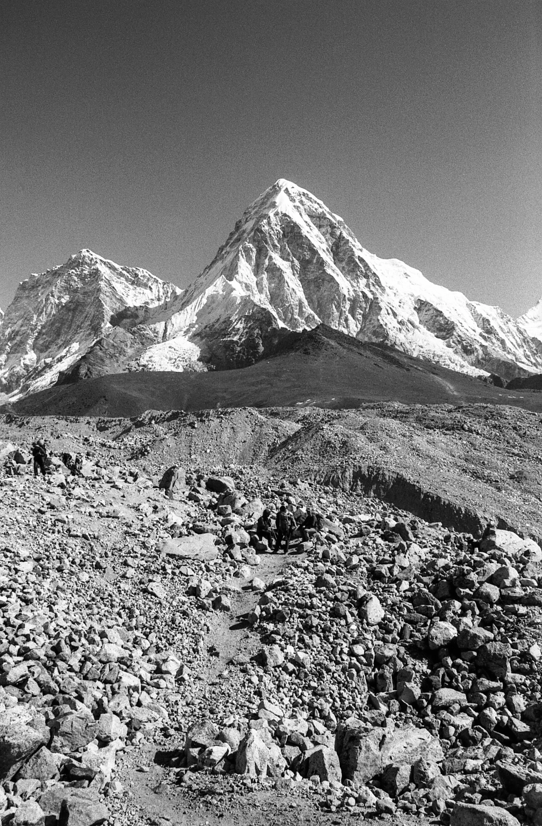 EBC_triX_451.jpg