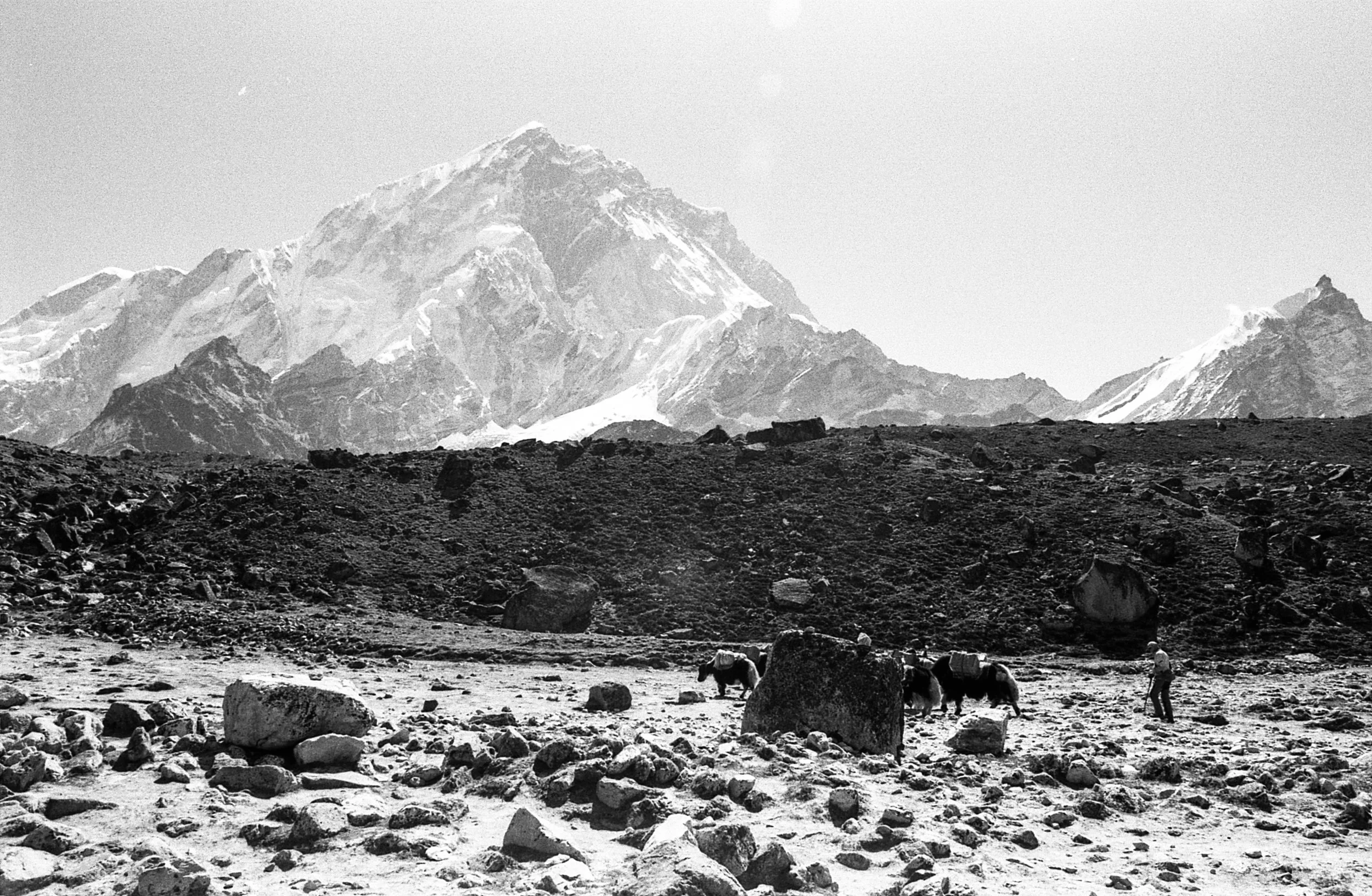 EBC_triX_459.jpg
