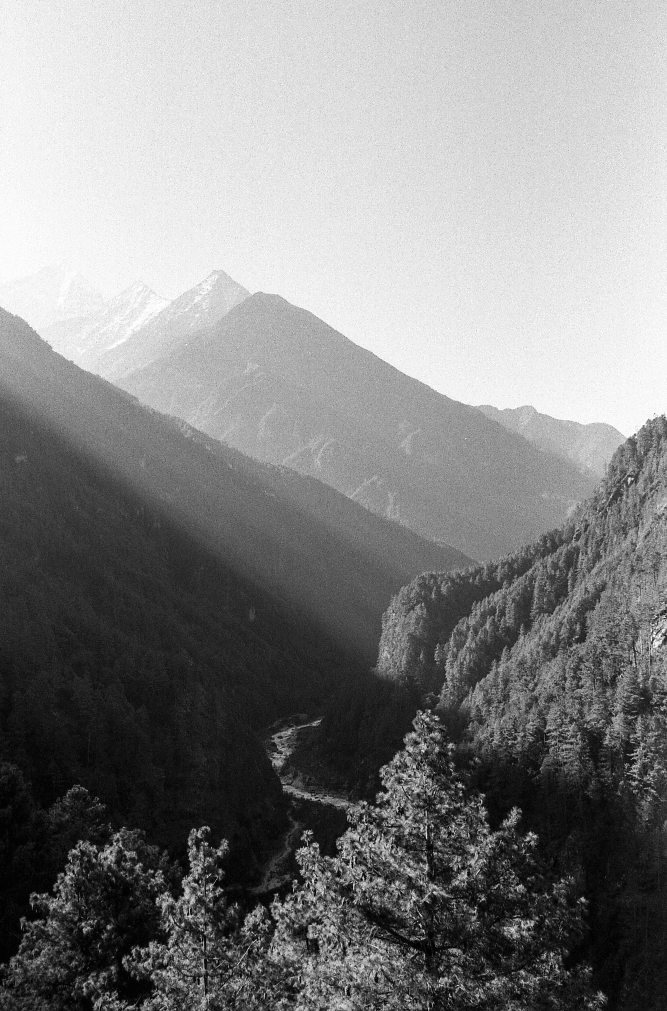 EBC_triX_563.jpg