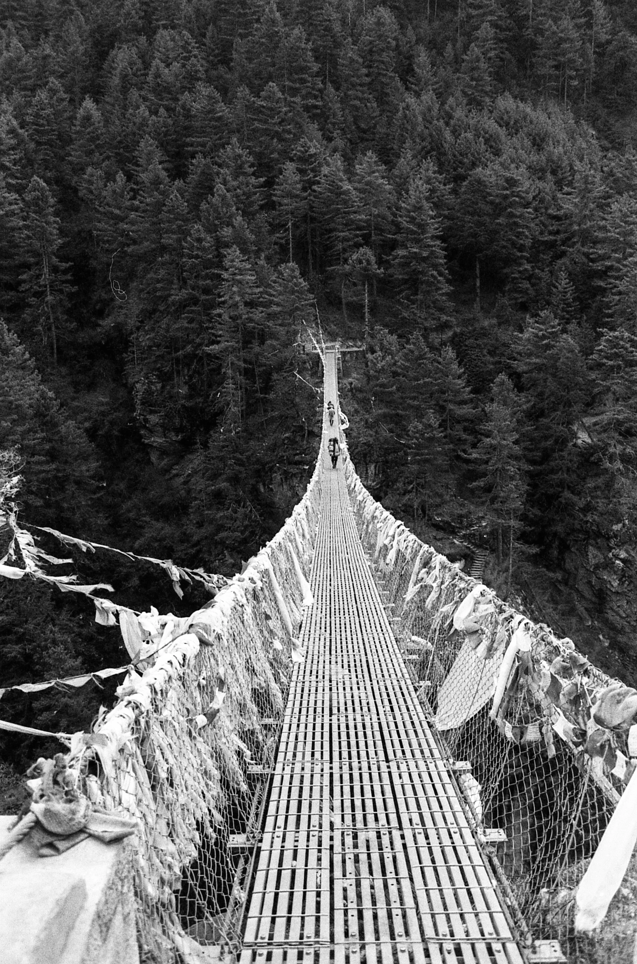 EBC_triX_567.jpg