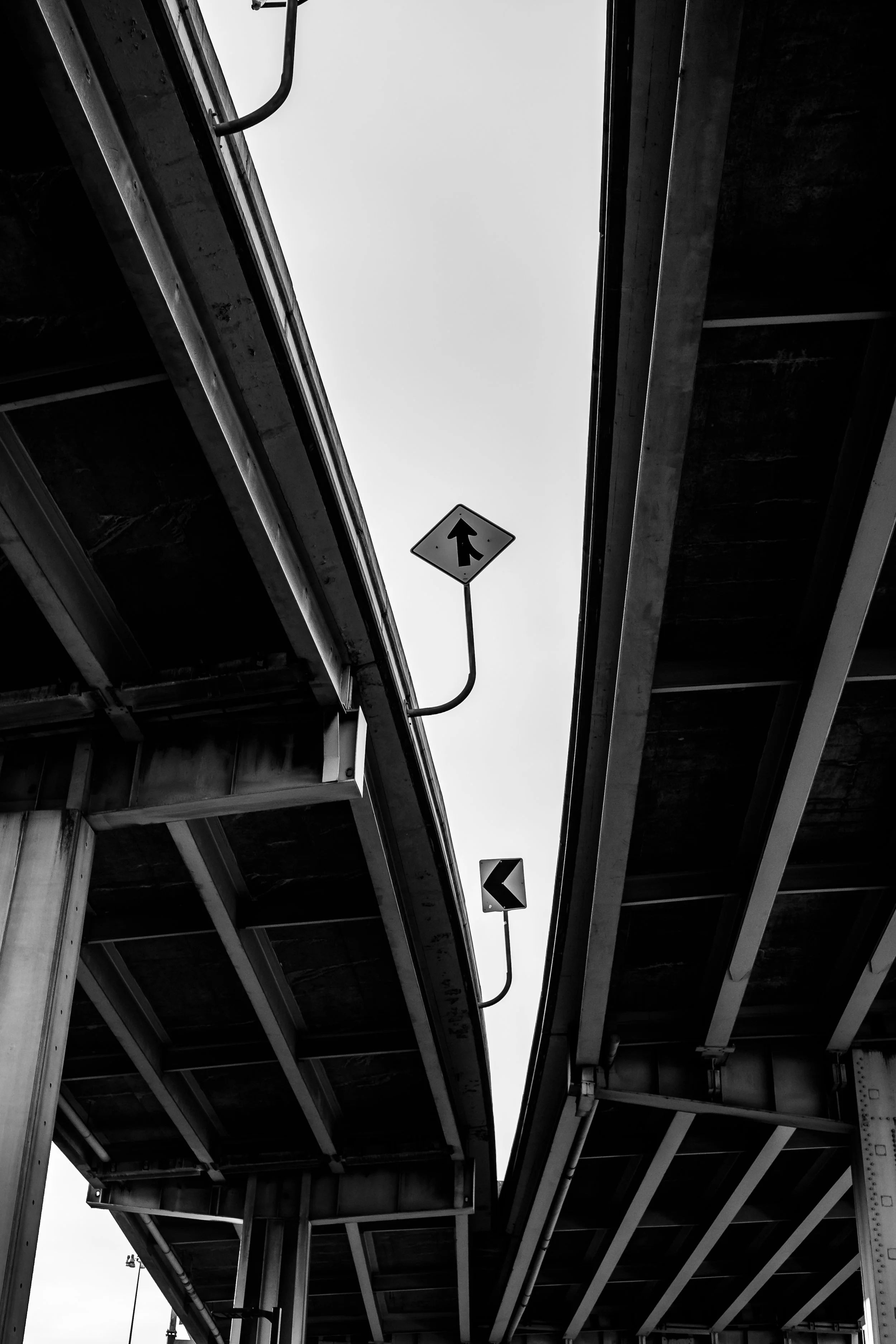 DSCF5437-2.jpg
