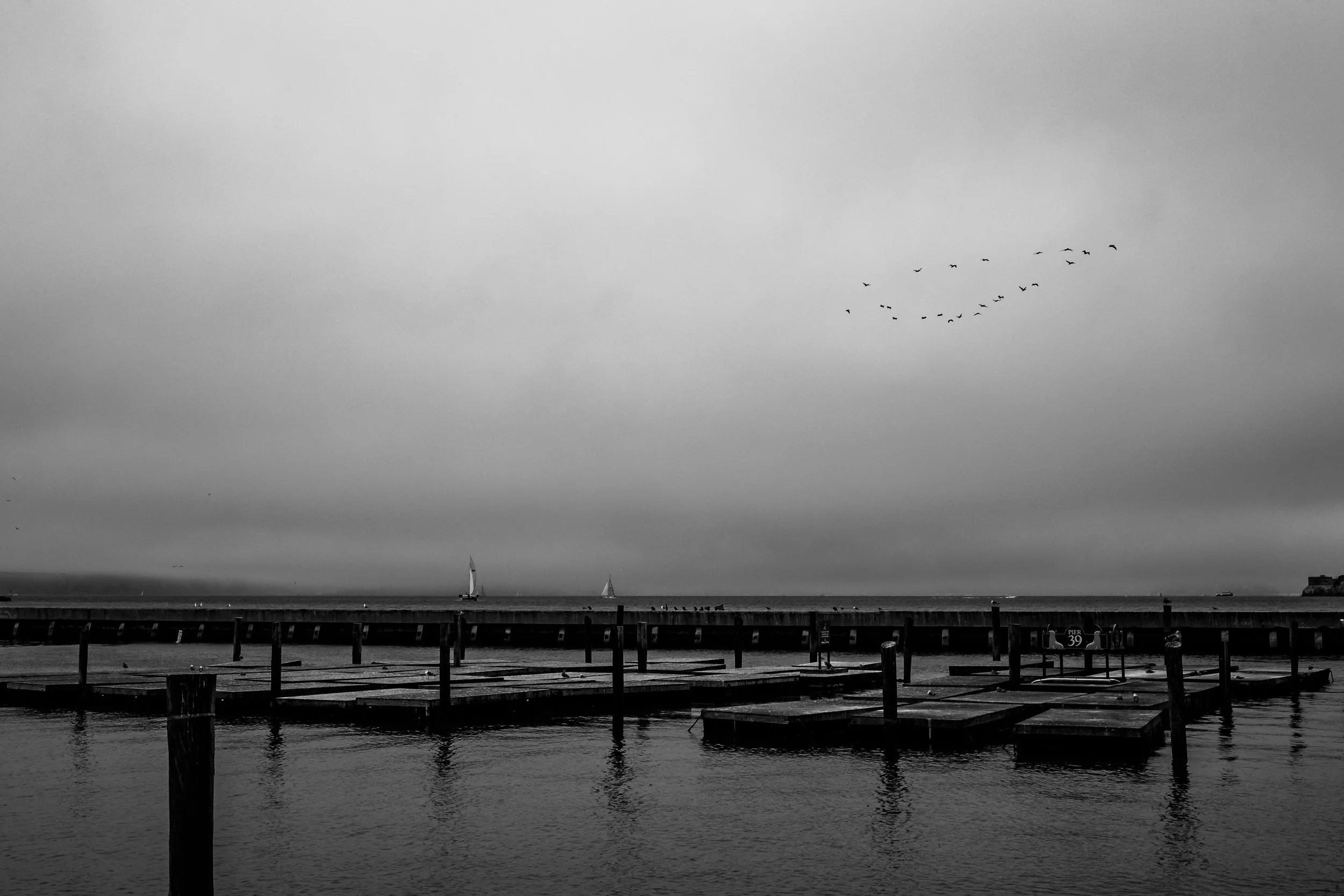 DSCF5499-3.jpg