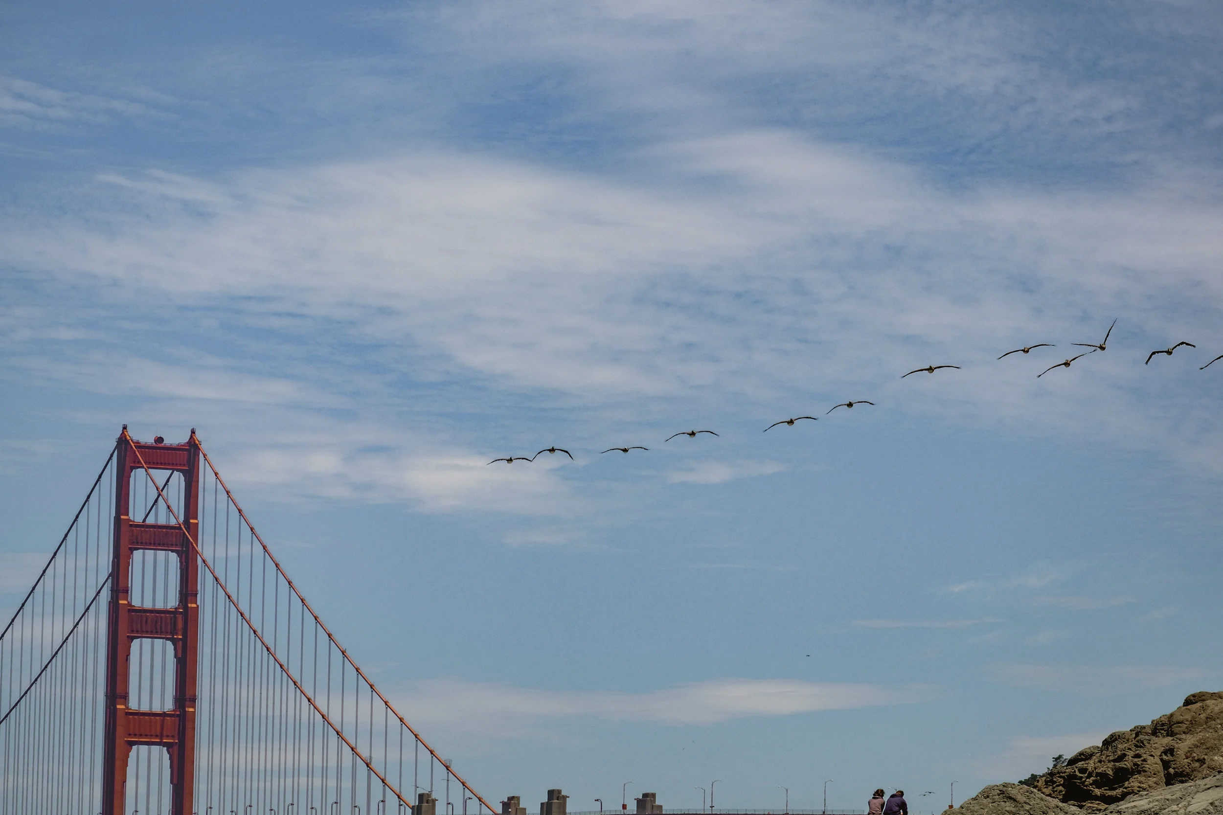 DSCF5502-2.jpg