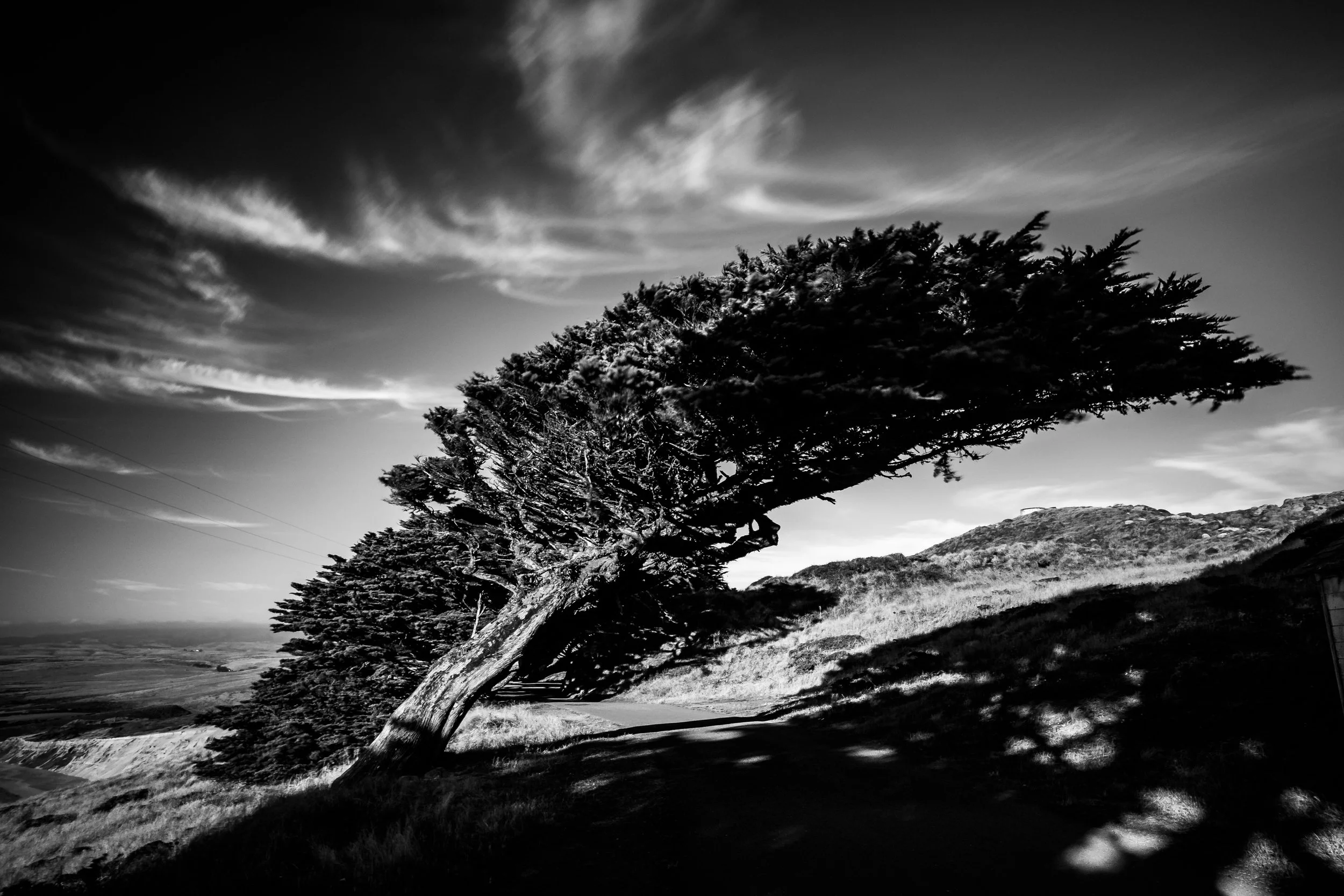 DSCF6509-2.jpg