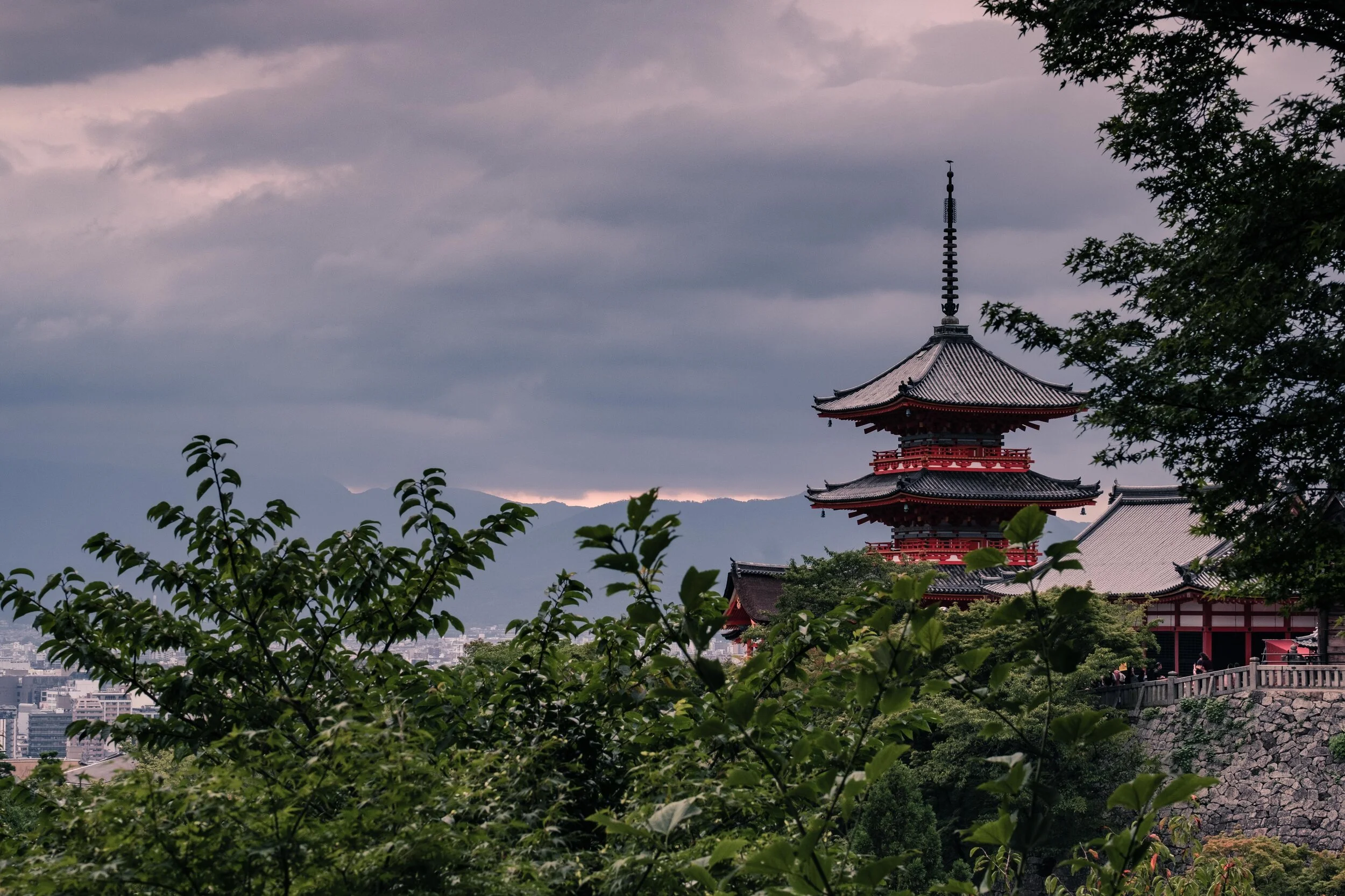 DSCF6250.jpg