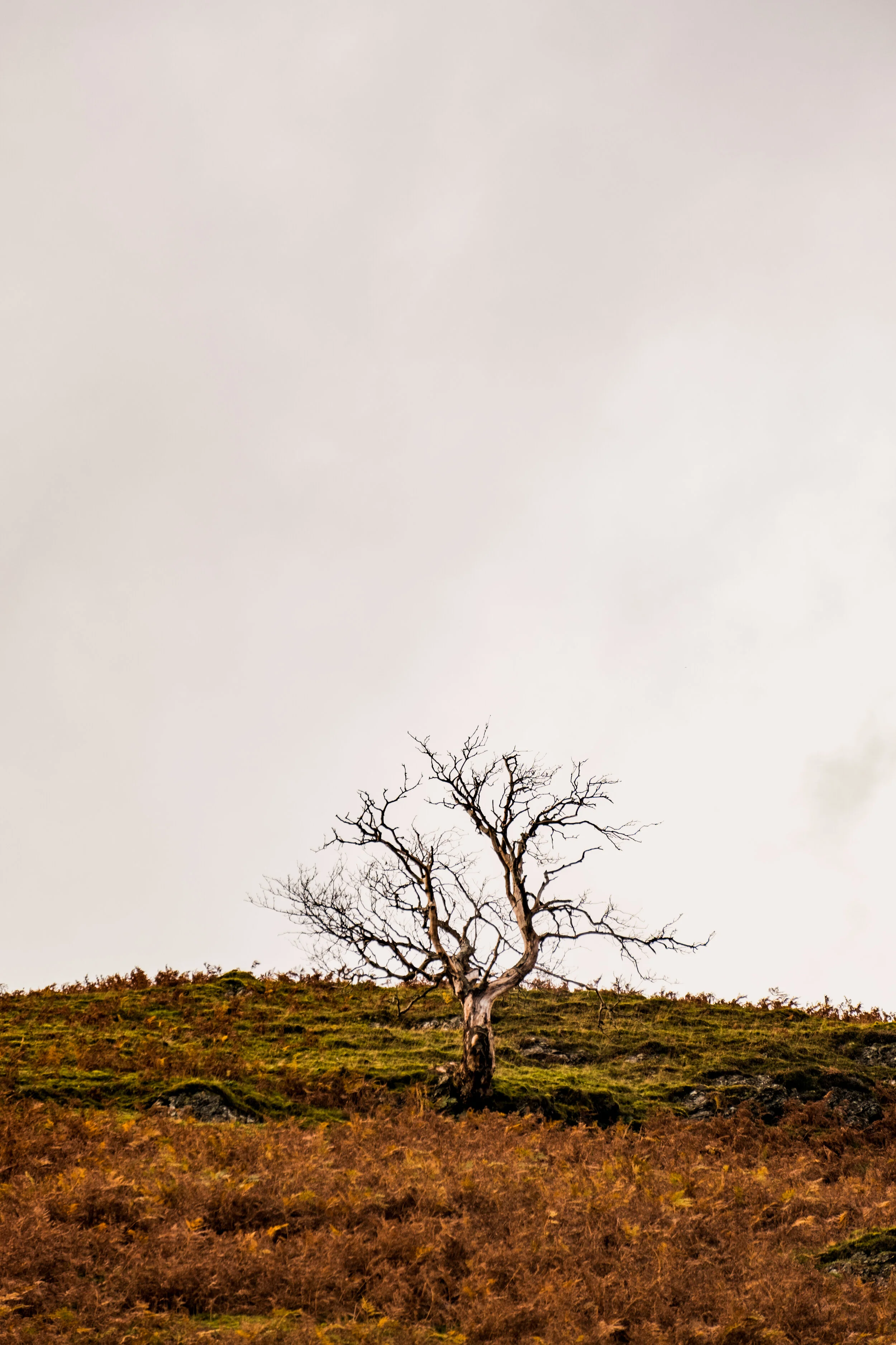 DSCF2418.jpg