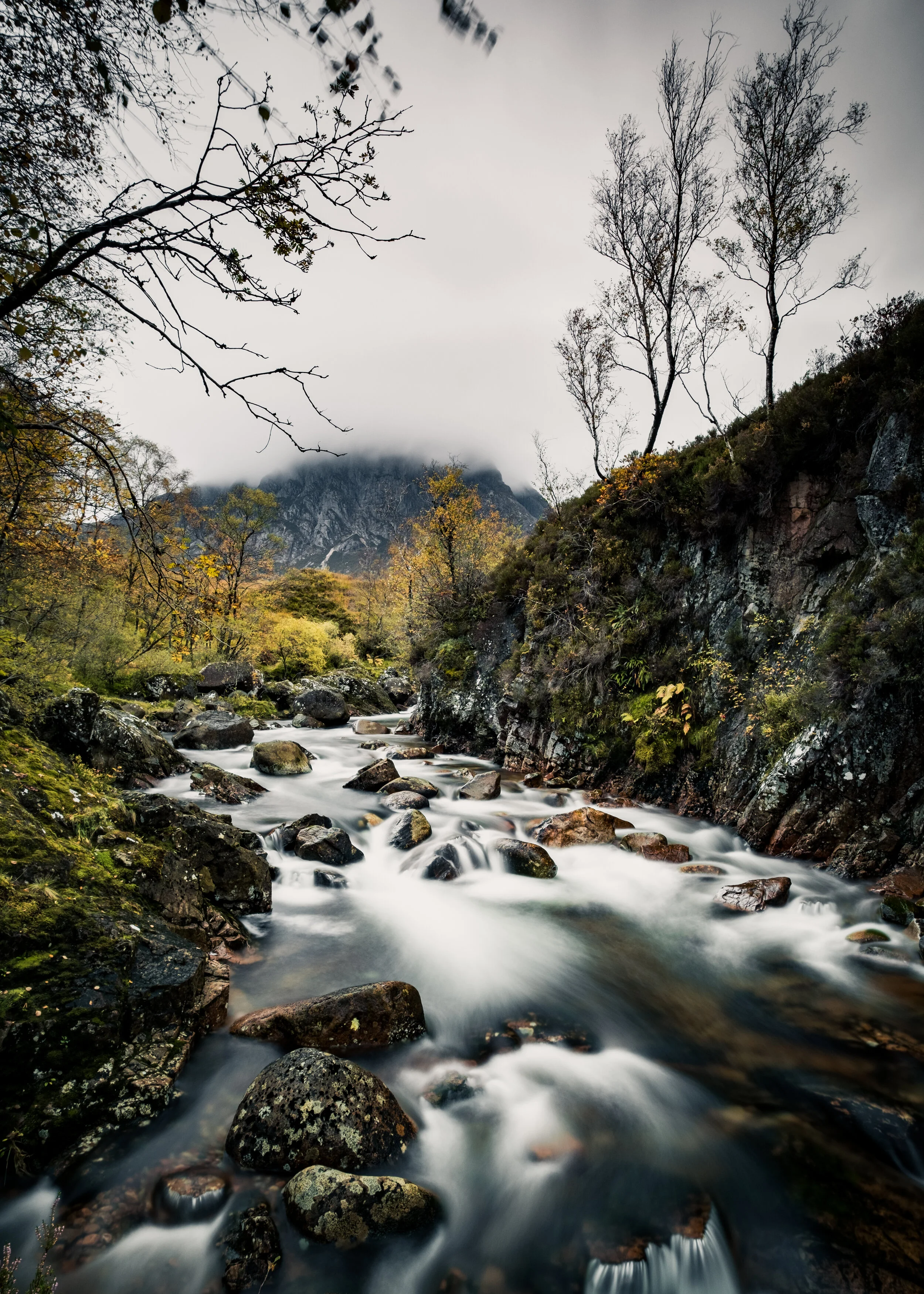 DSCF0349-2.jpg