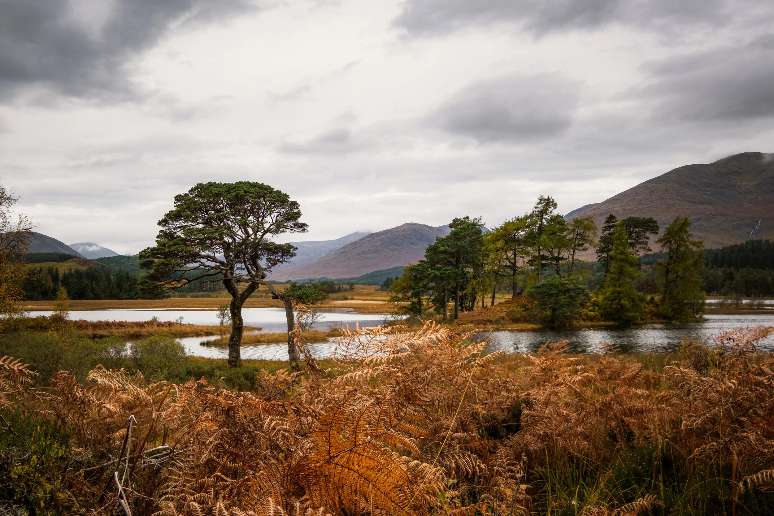 DSCF0327-2.jpg