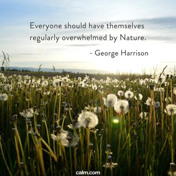 Tip 42: ✨Dichter bij je ware natuur✨