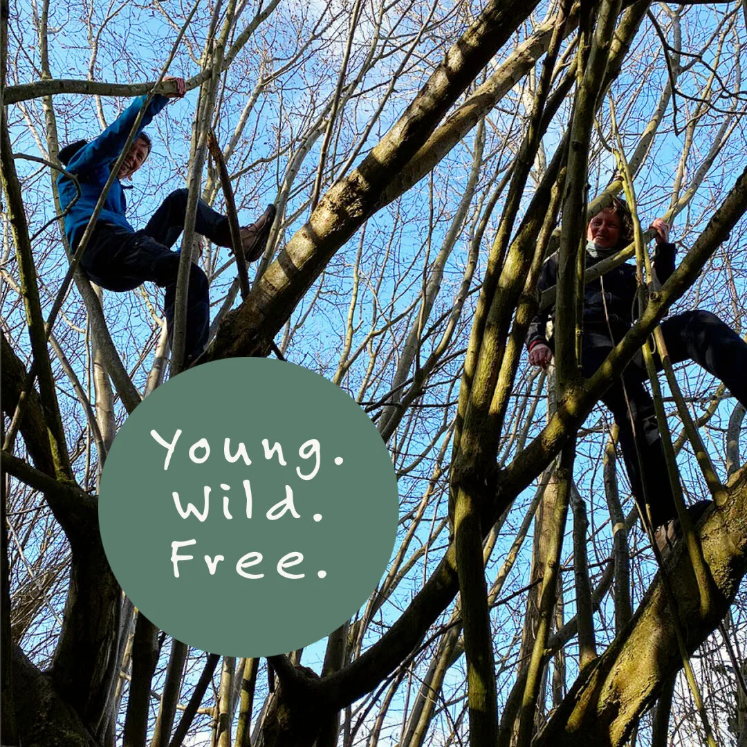 De boom in ermee - wandelcoaching voor jongeren