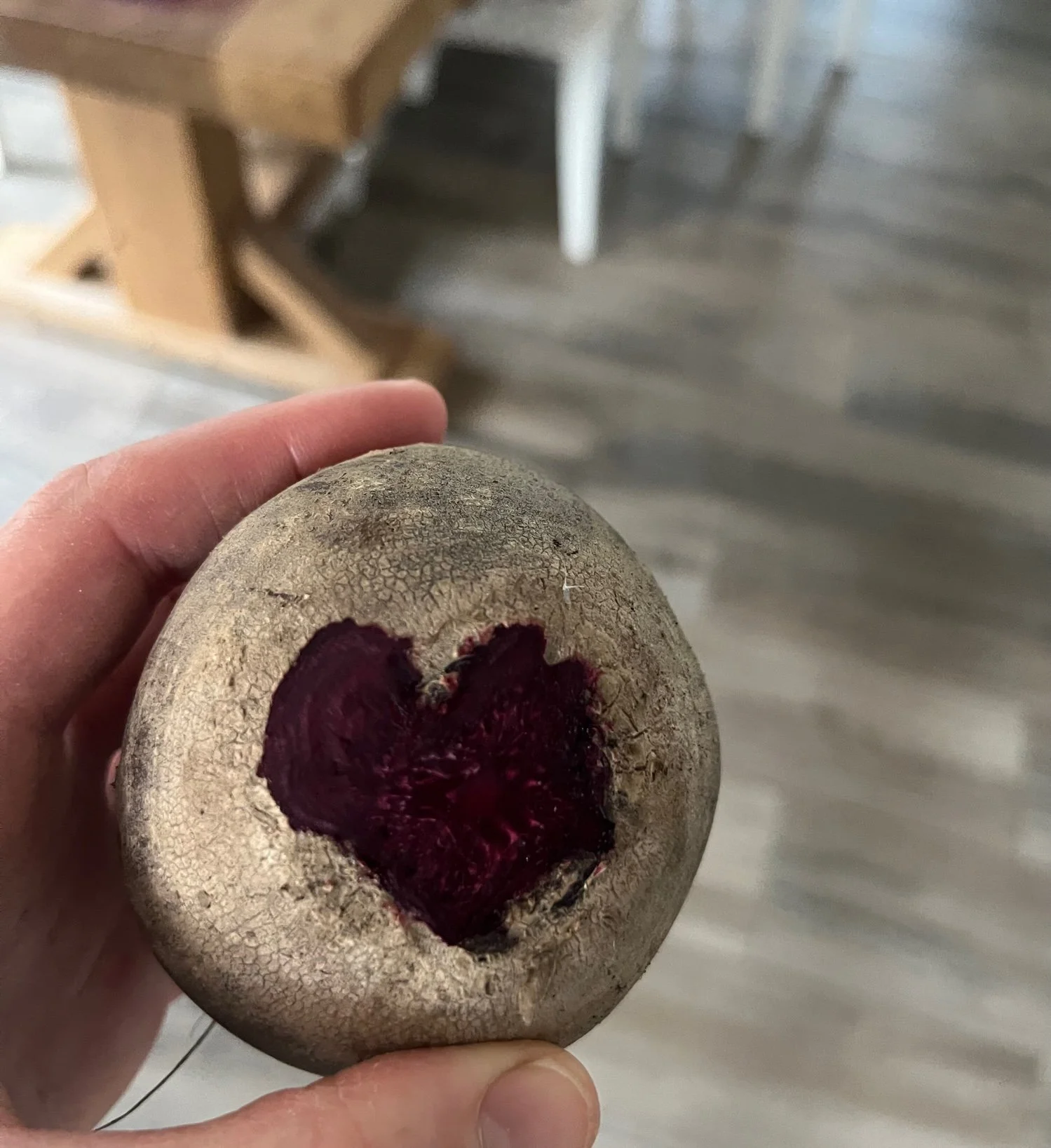 Tafelgenoten Winterritueel: ten volle verbinden met de energie en smaken van het seizoen