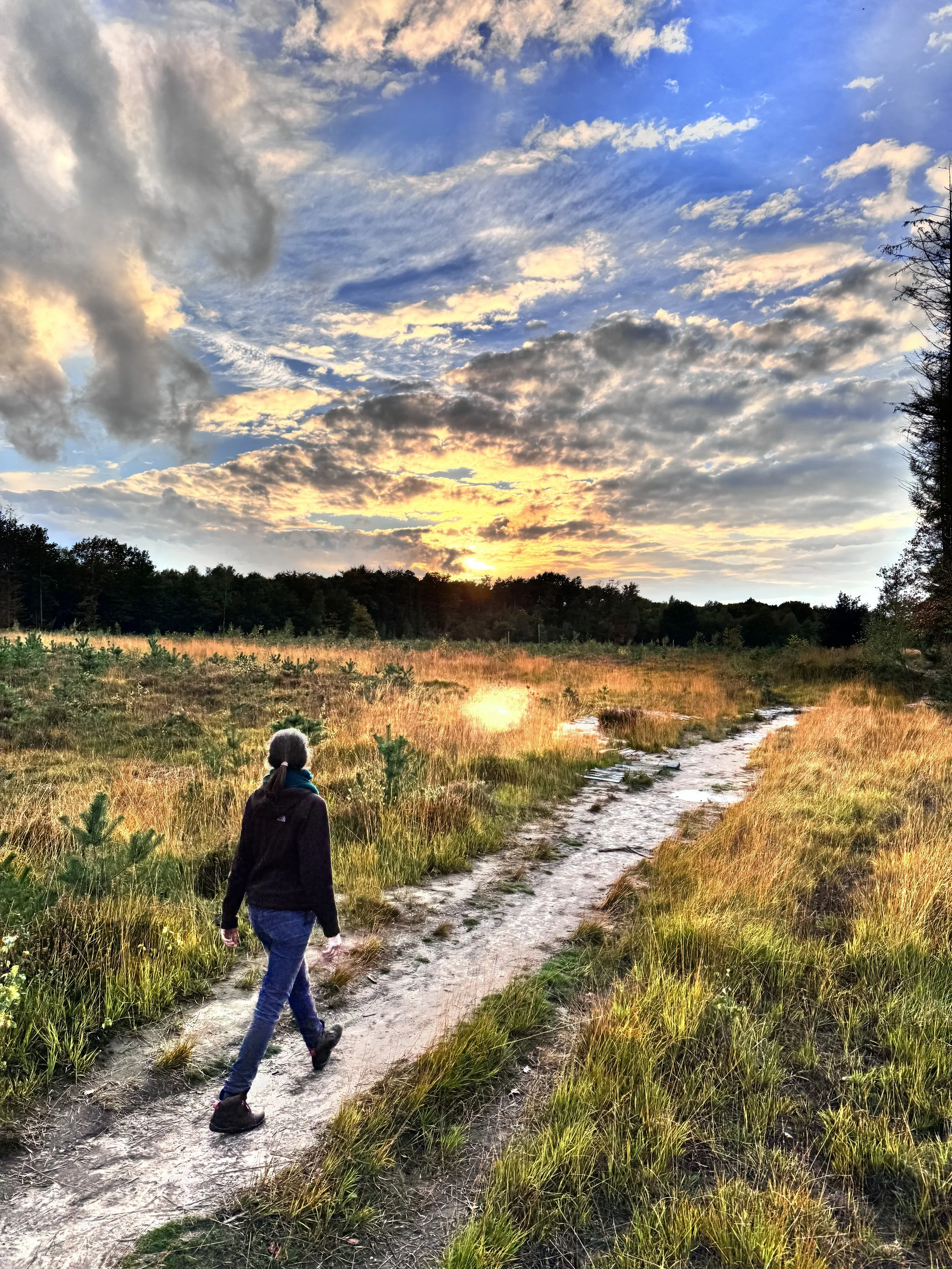 Ont-luik-wandeling: stilaan in beweging komen