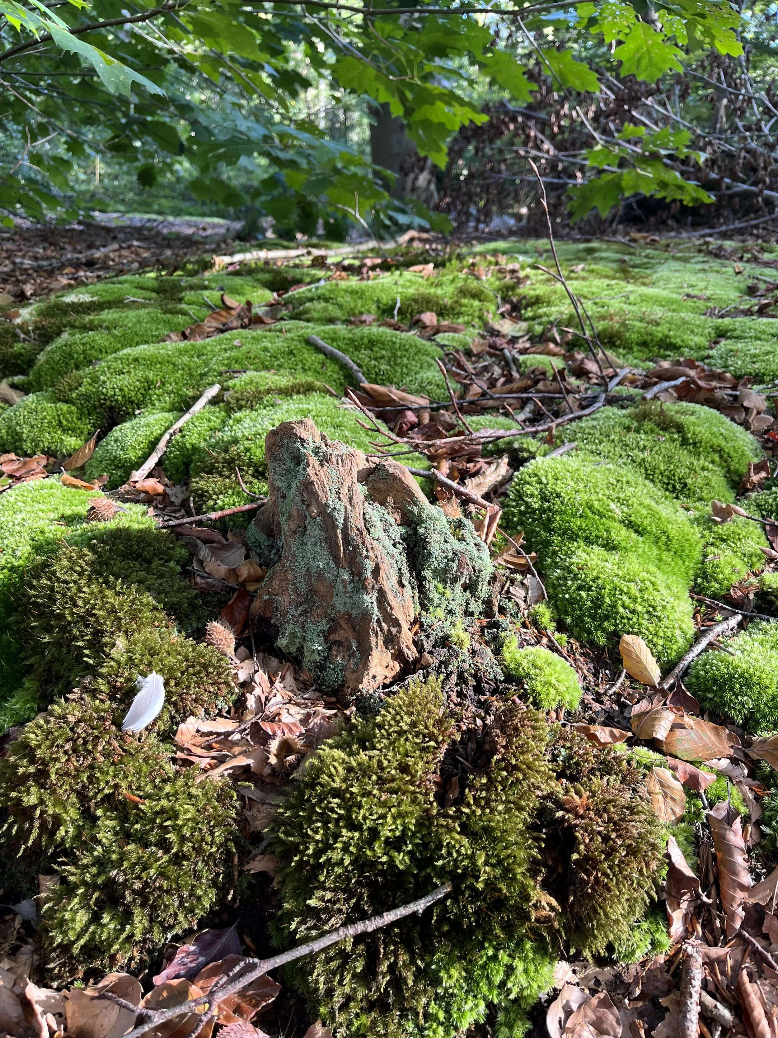 Meer, gaat niet meer. 