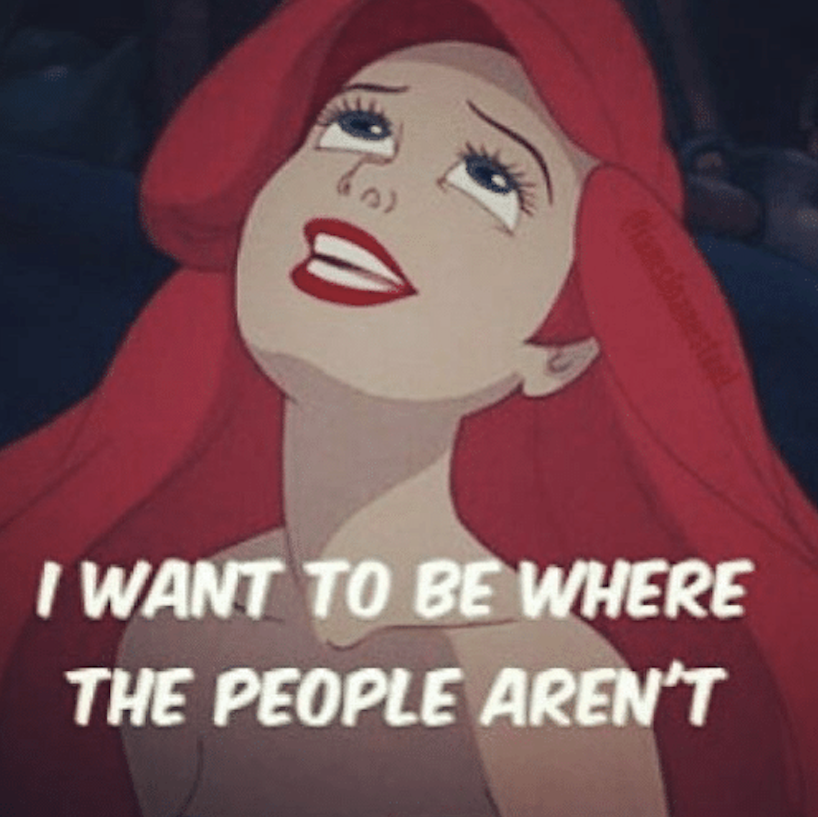 Screen Shot 2019-08-17 at 12.08.21 AM.png