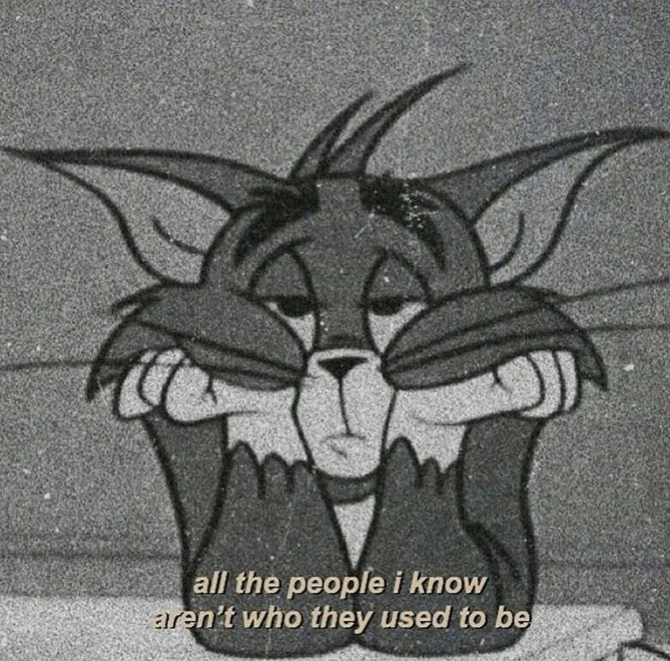 Screen Shot 2019-08-03 at 10.59.10 AM.png