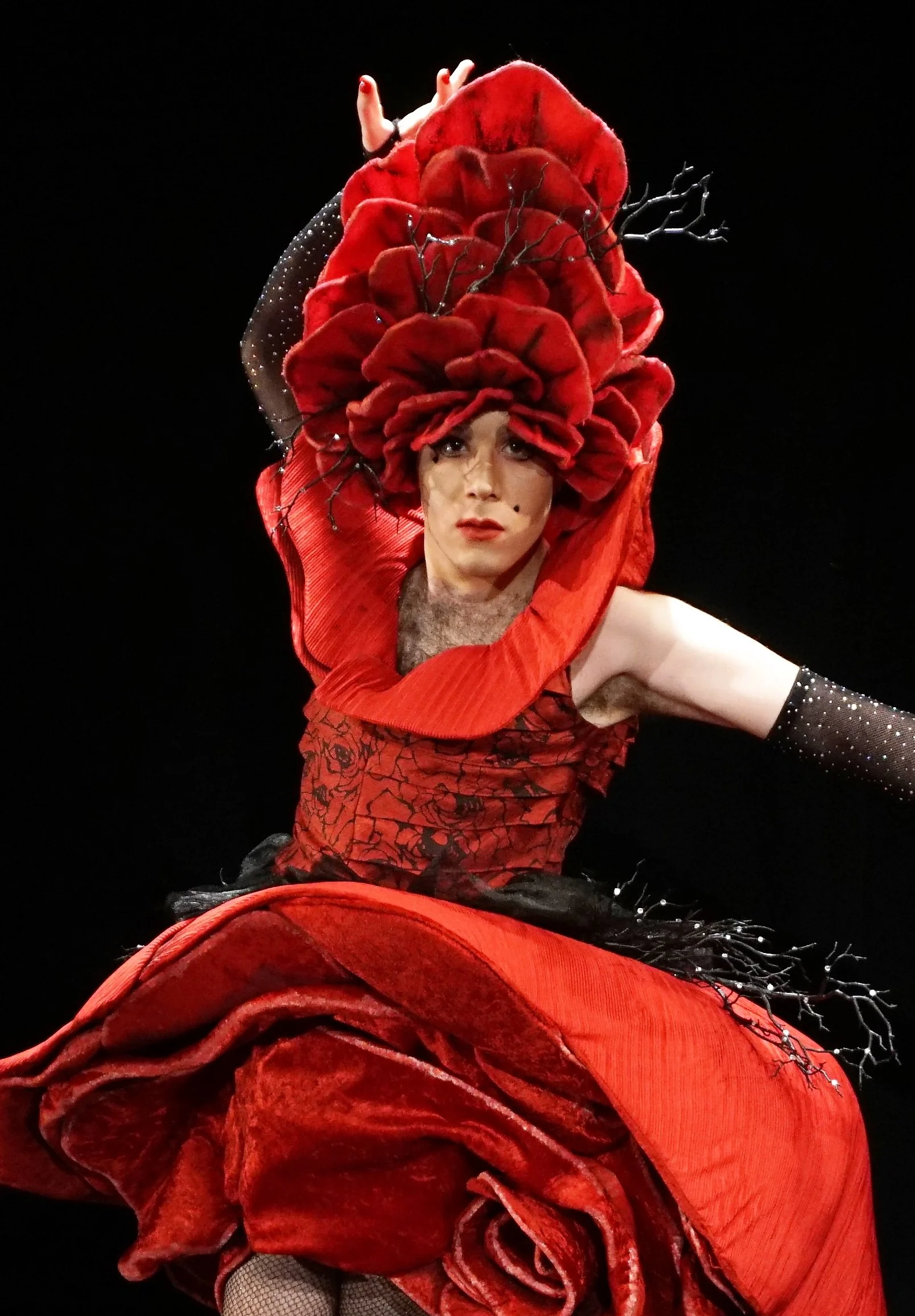 Red Rose 5.JPG