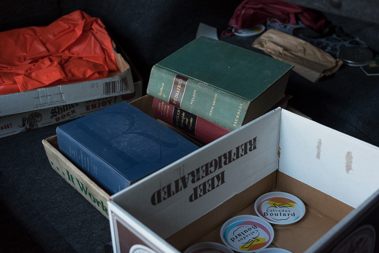 Trunk_flat copy.jpg