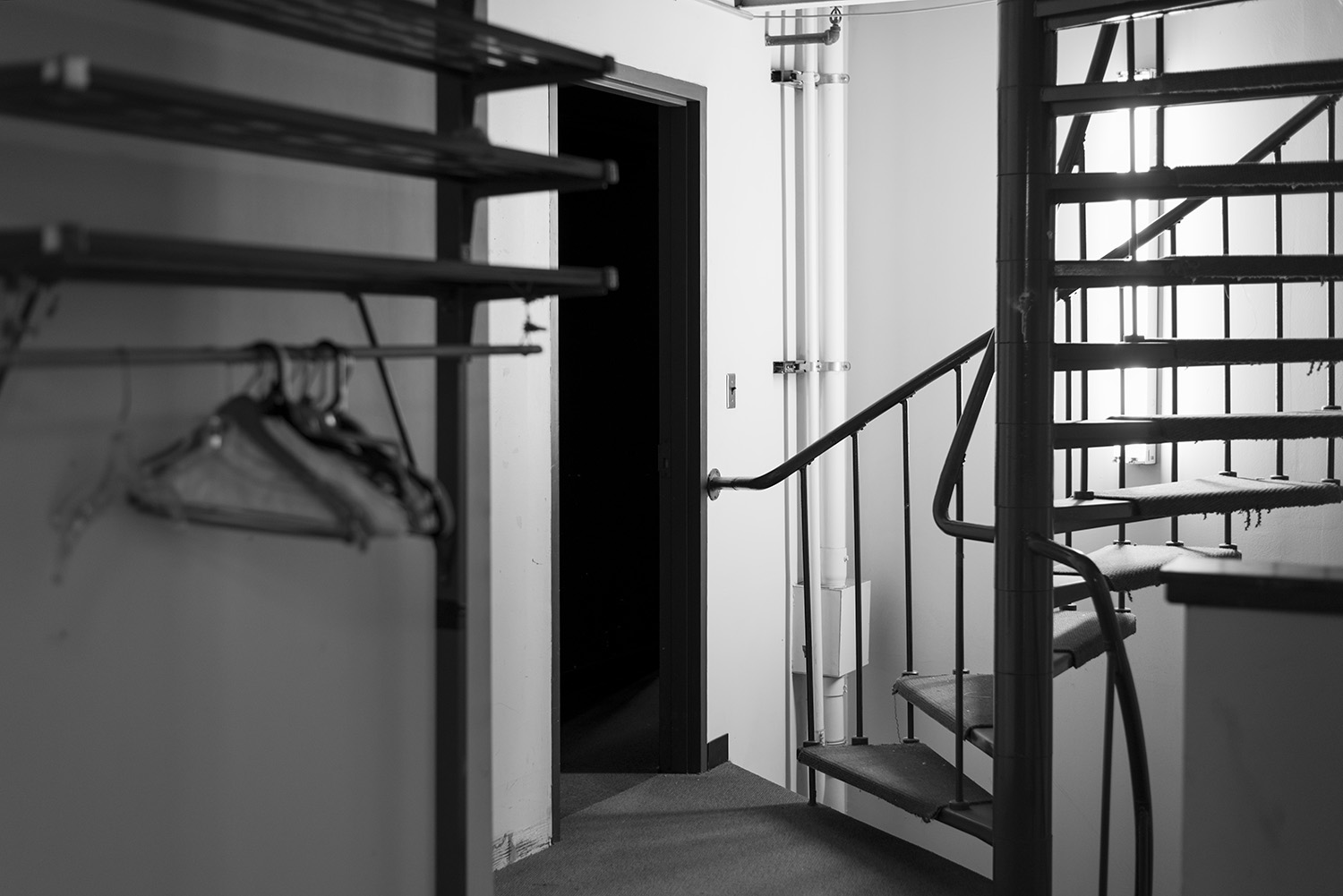 Stairs to the Cats_flat copy.jpg