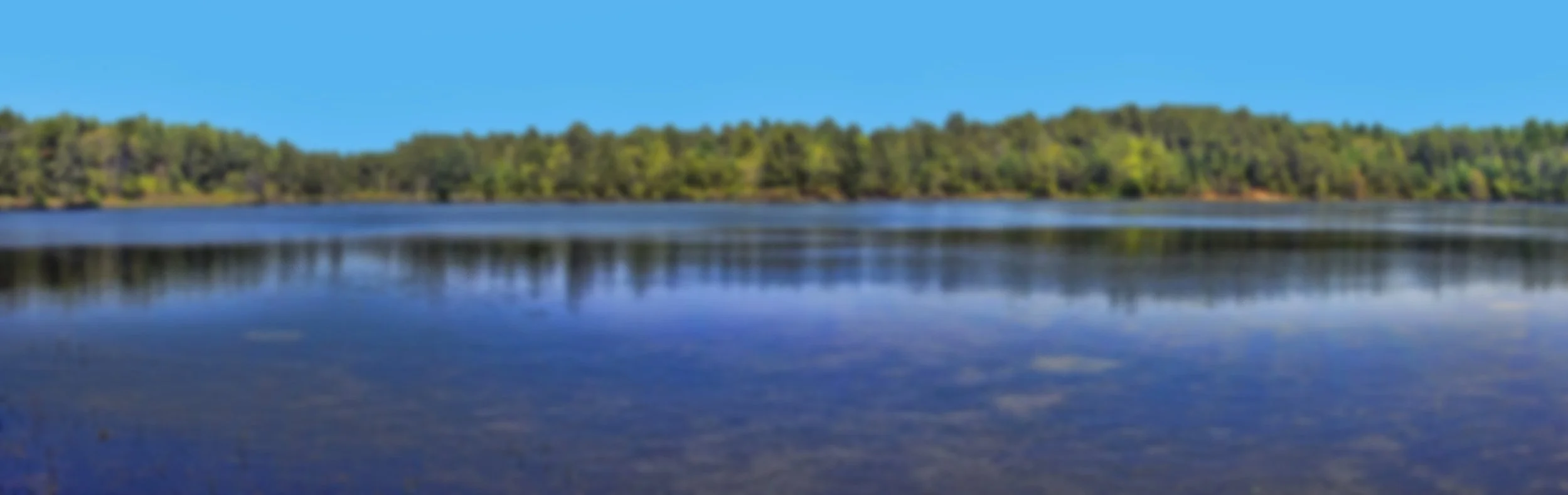 areas served page.jpg