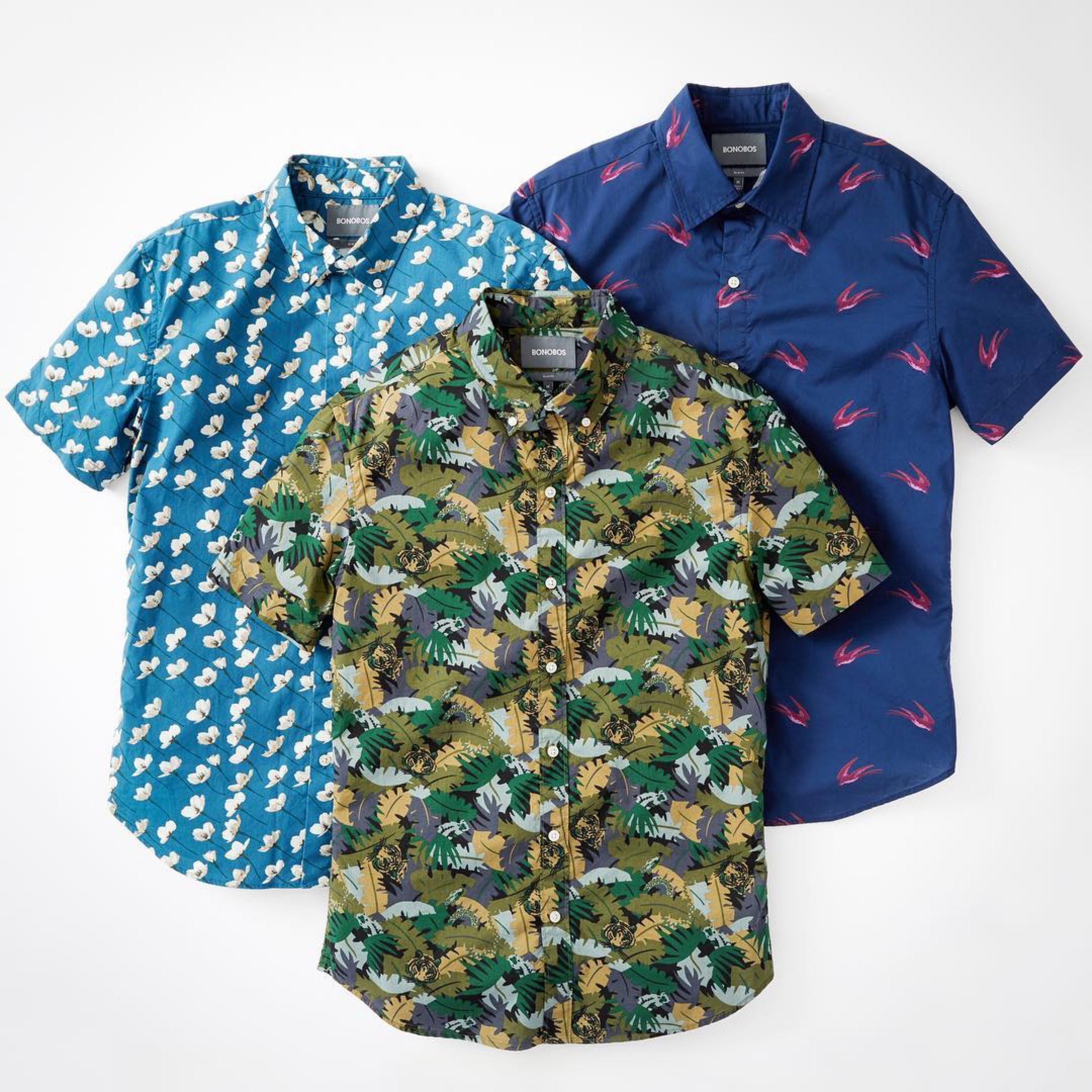 Bonobos