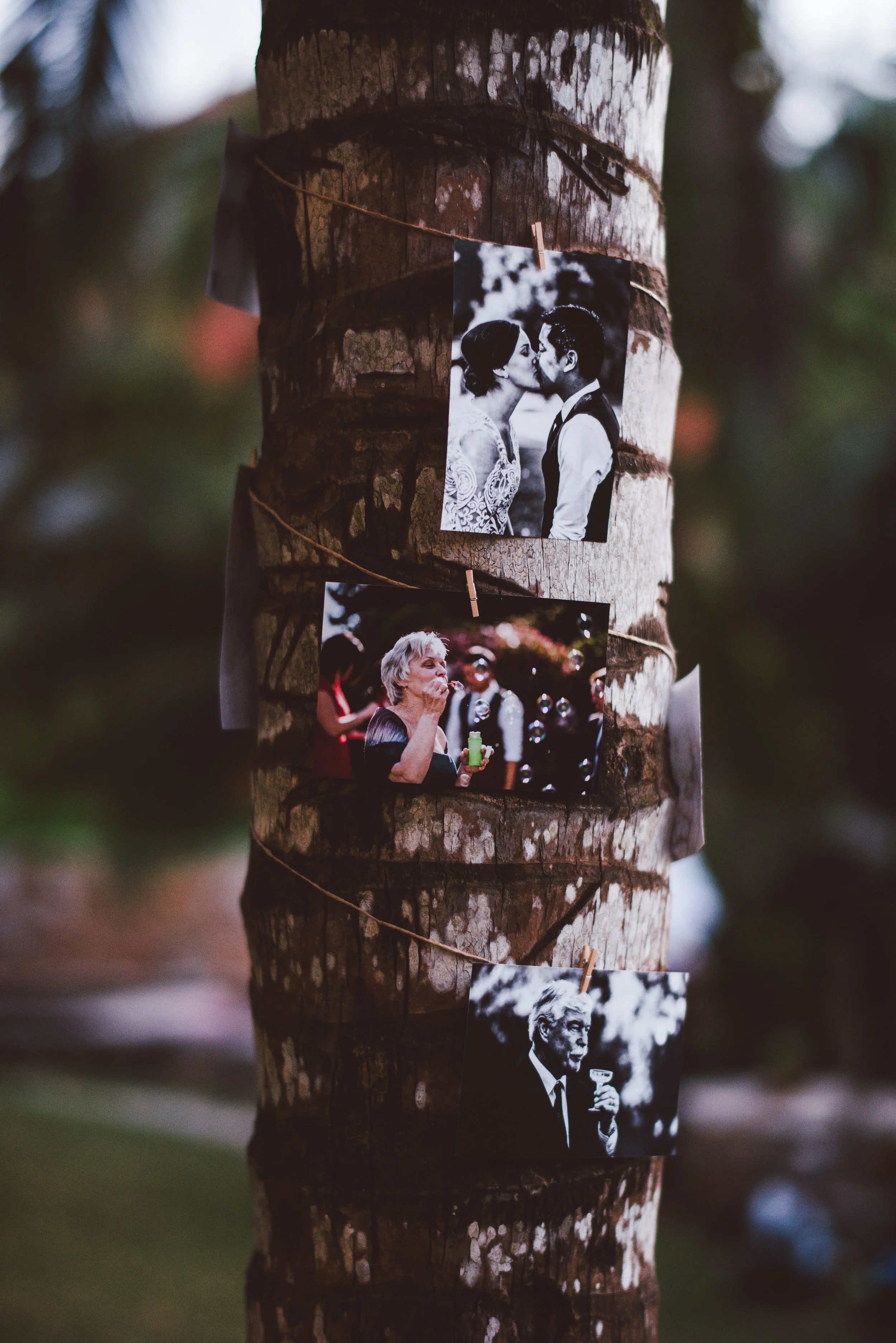 Steve & Mika - Sayulita - © Dallas Kolotylo Photography - 945.jpg